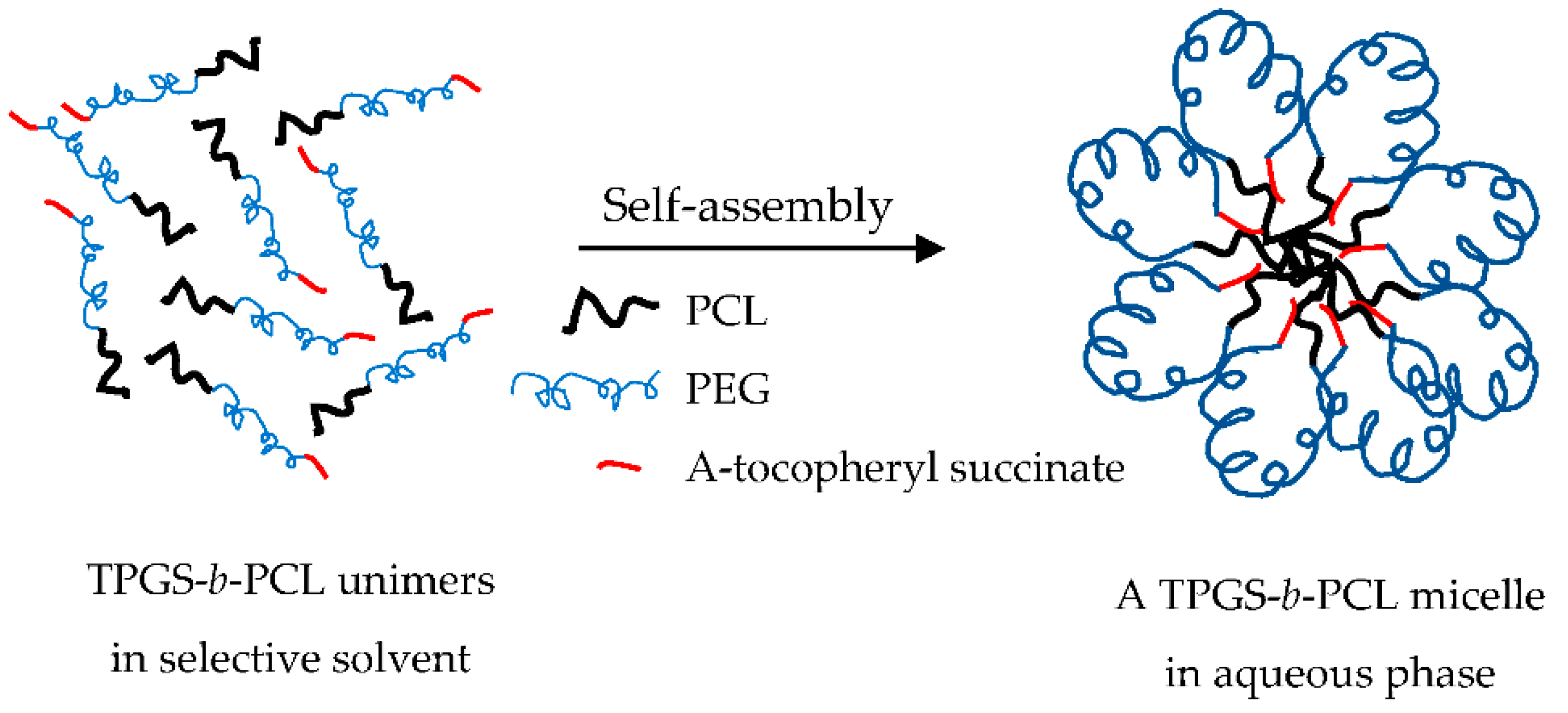 Molecules 26 02690 g006 Molecules 26 02690 g006