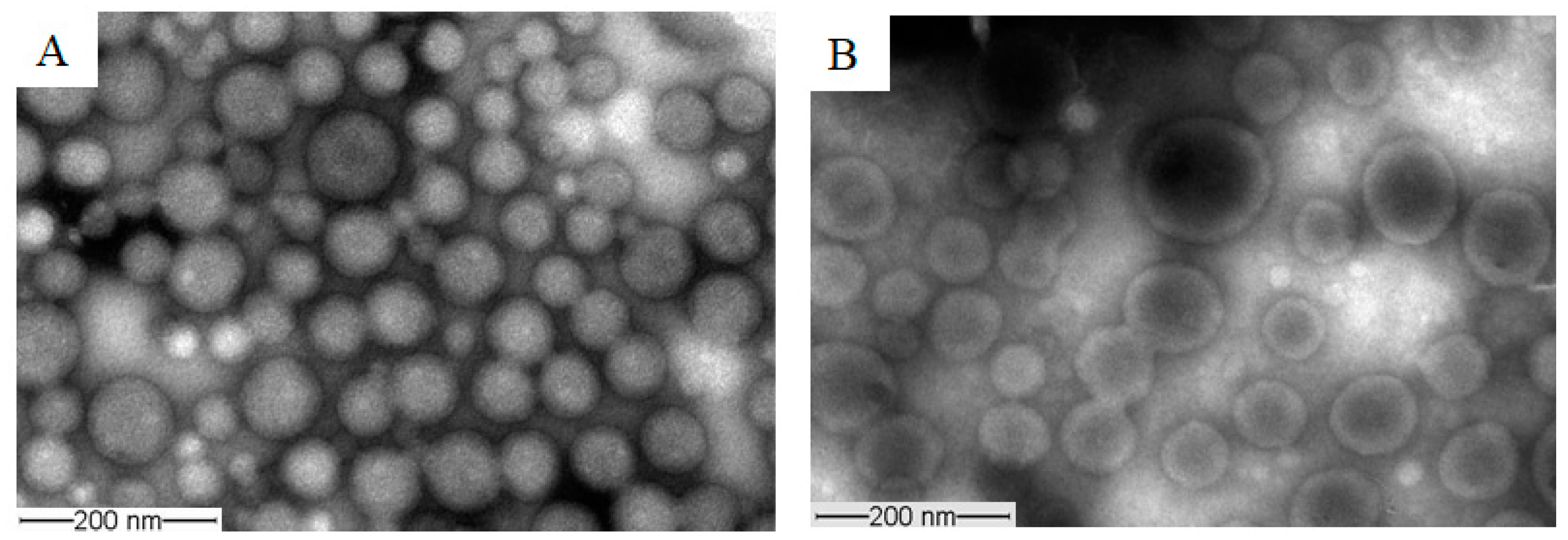 Molecules 26 02690 g007 Molecules 26 02690 g007