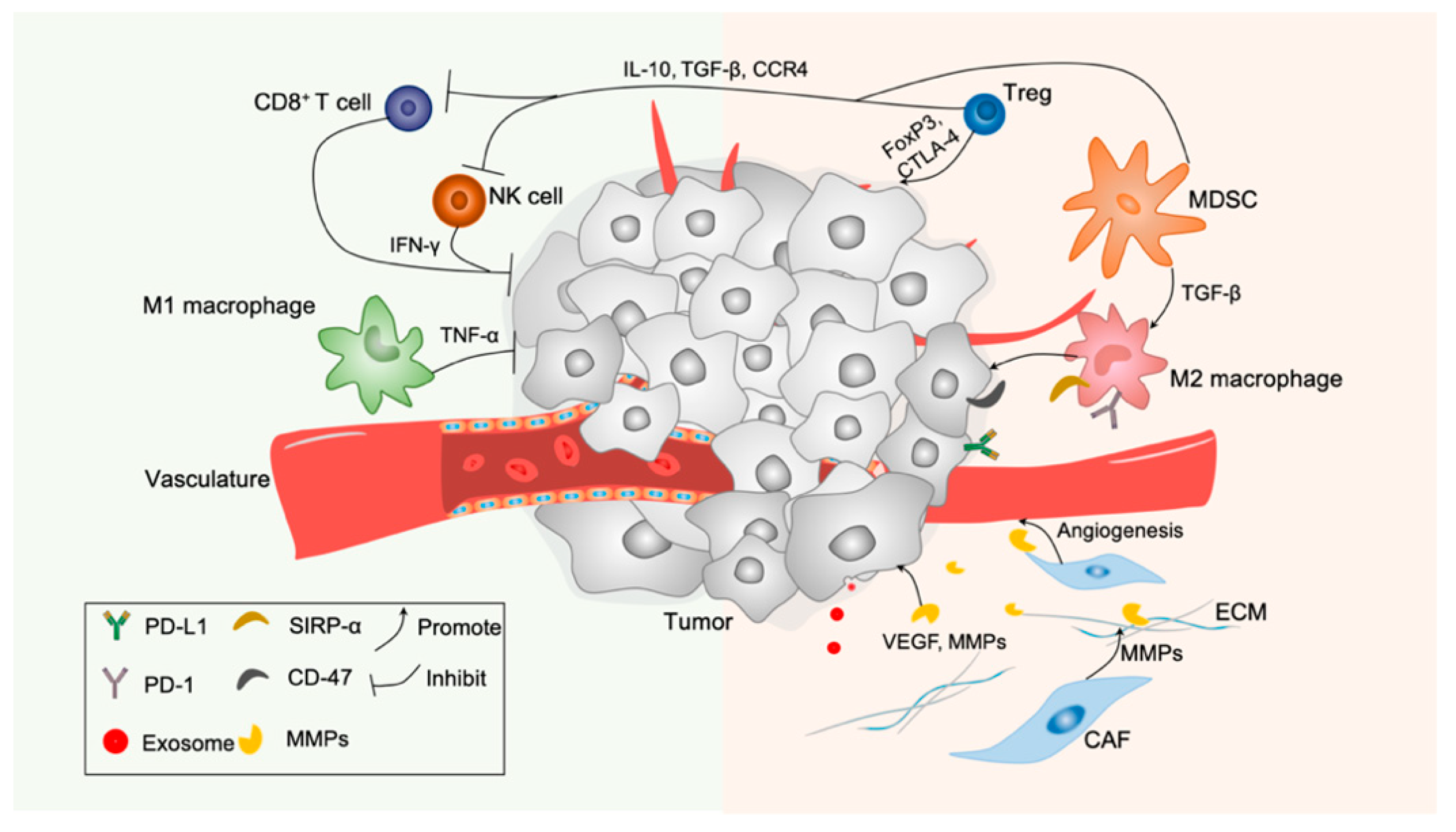 Molecules 26 02703 g002 Molecules 26 02703 g002