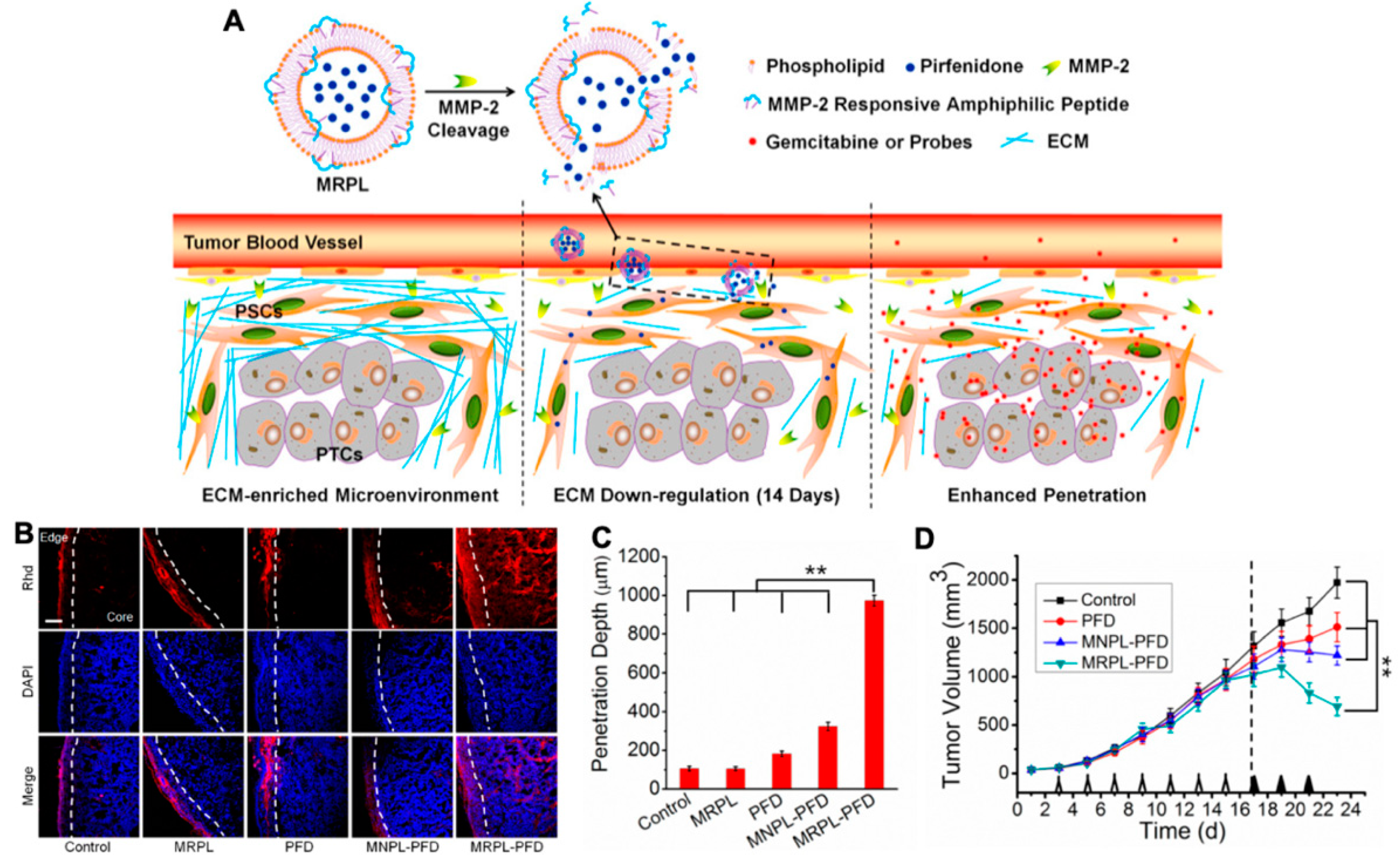 Molecules 26 02703 g006 Molecules 26 02703 g006