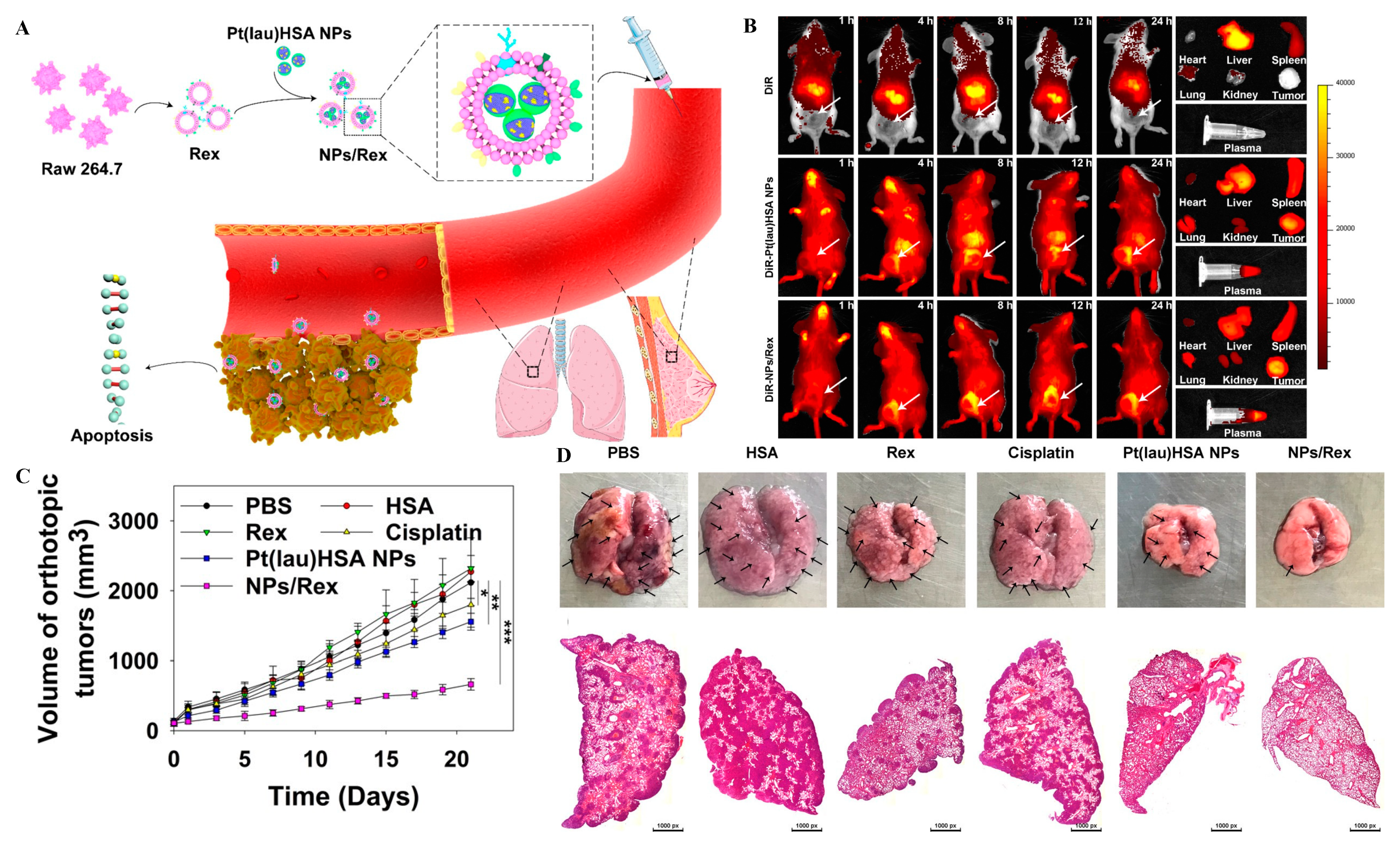 Molecules 26 02703 g007 Molecules 26 02703 g007