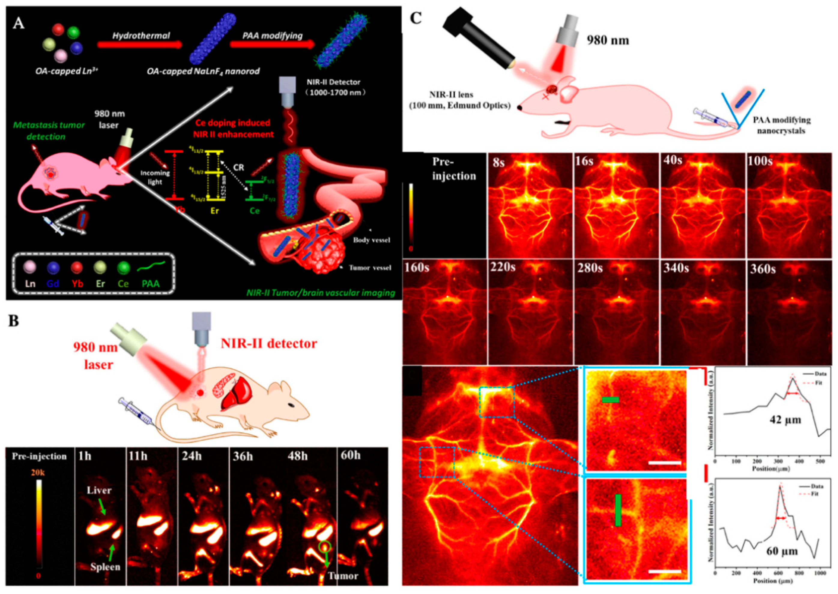 Molecules 26 02703 g008 Molecules 26 02703 g008