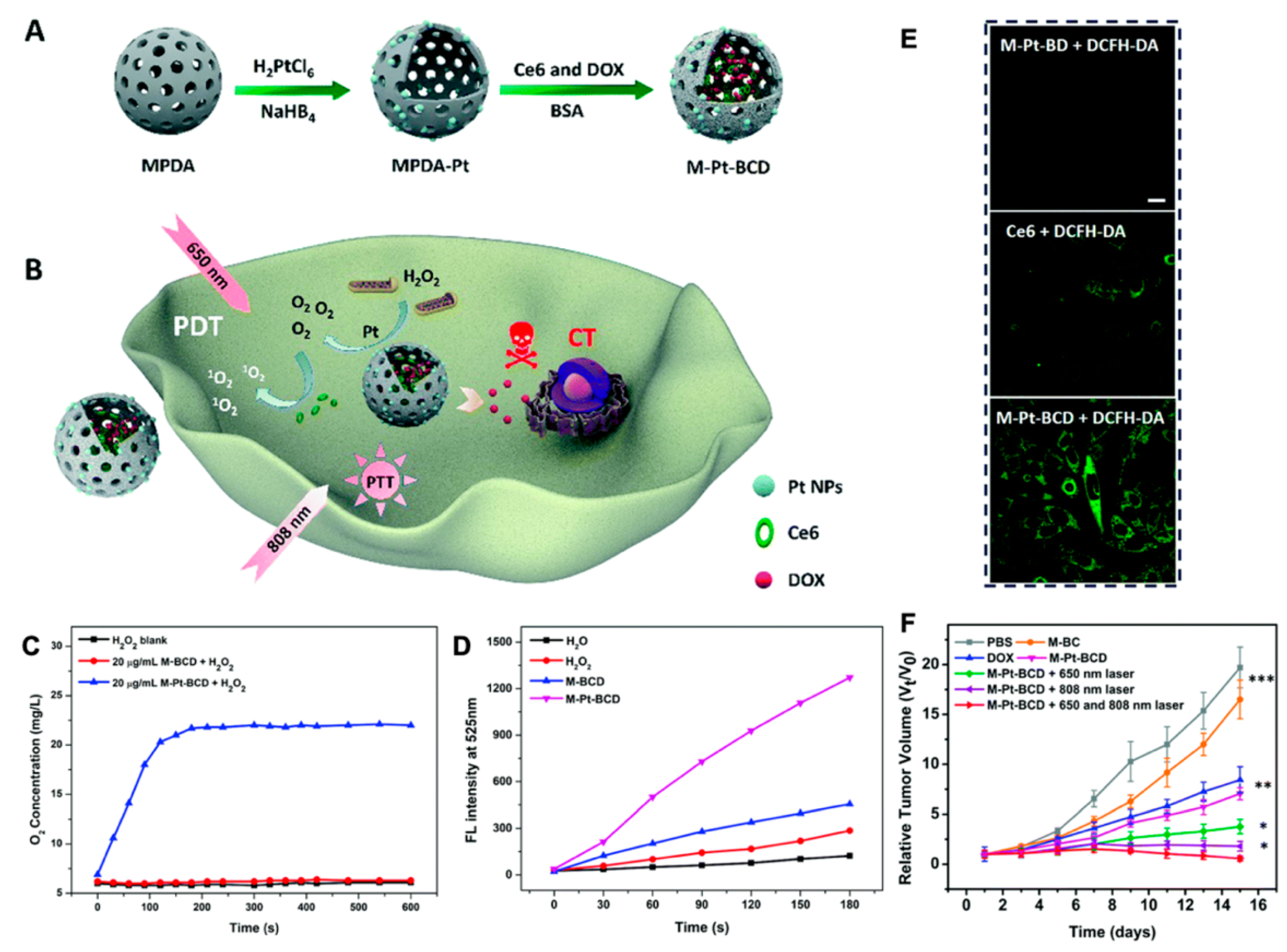 Molecules 26 02703 g009 Molecules 26 02703 g009