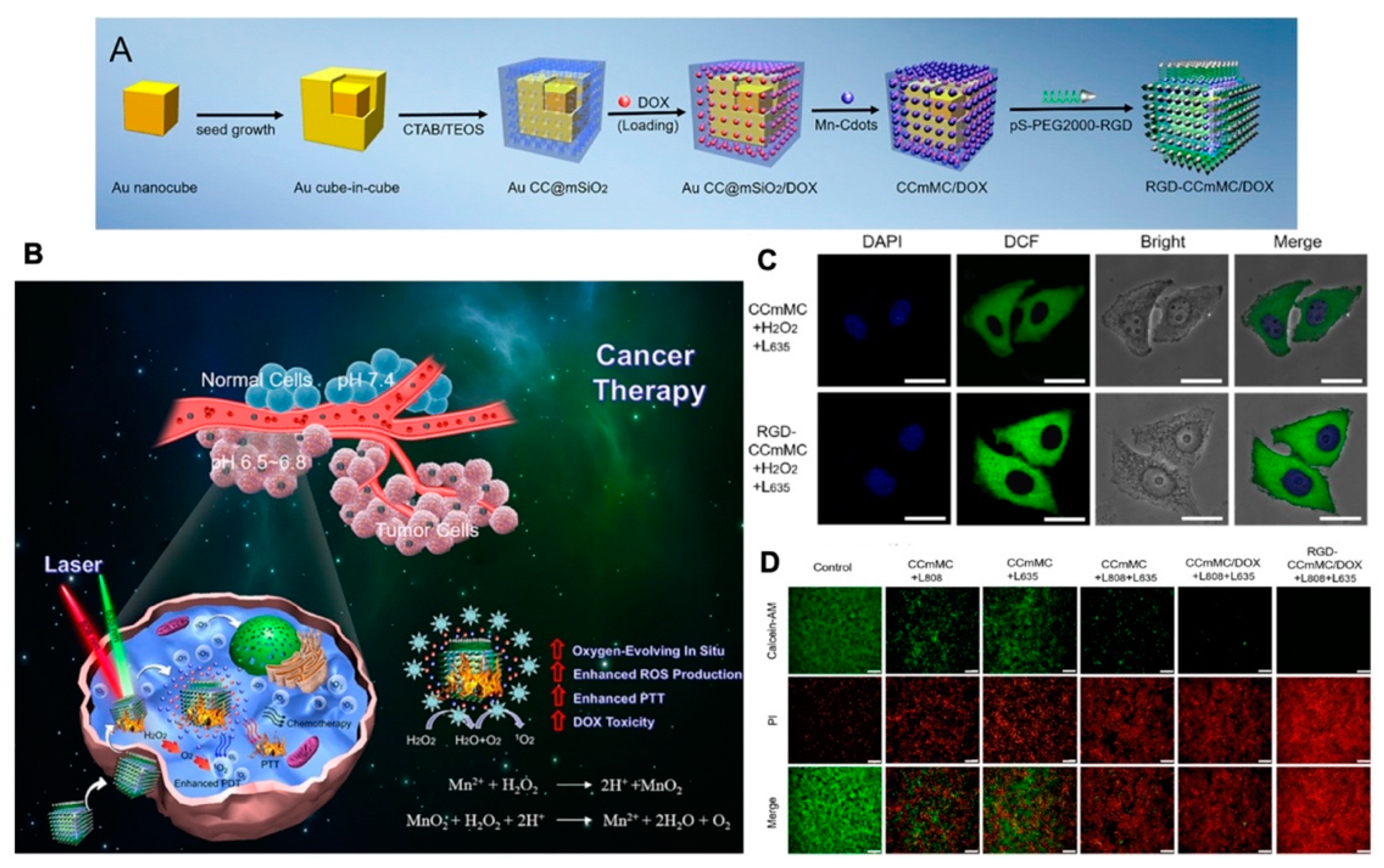 Molecules 26 02703 g011 Molecules 26 02703 g011