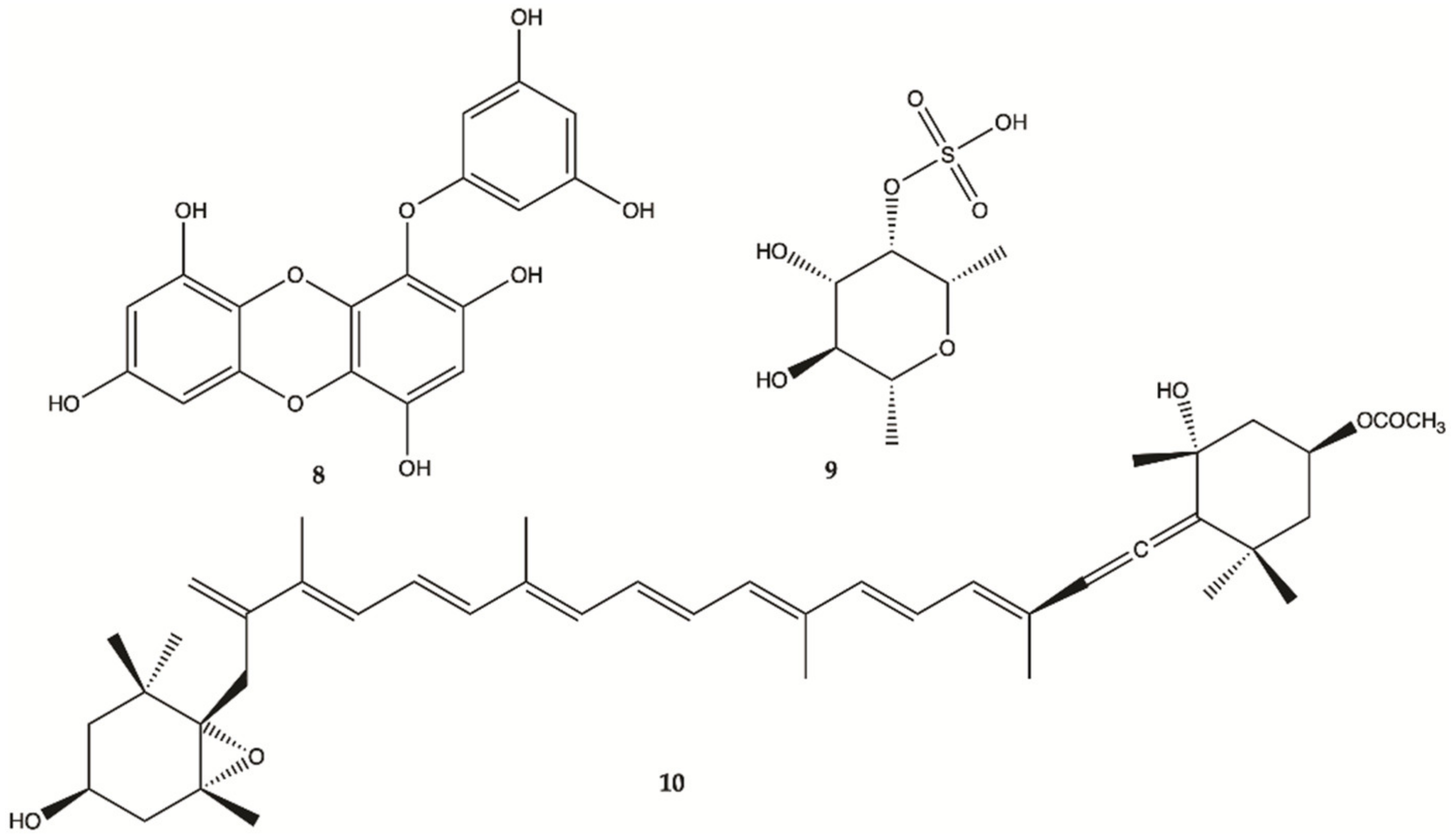 Molecules 26 02707 g005