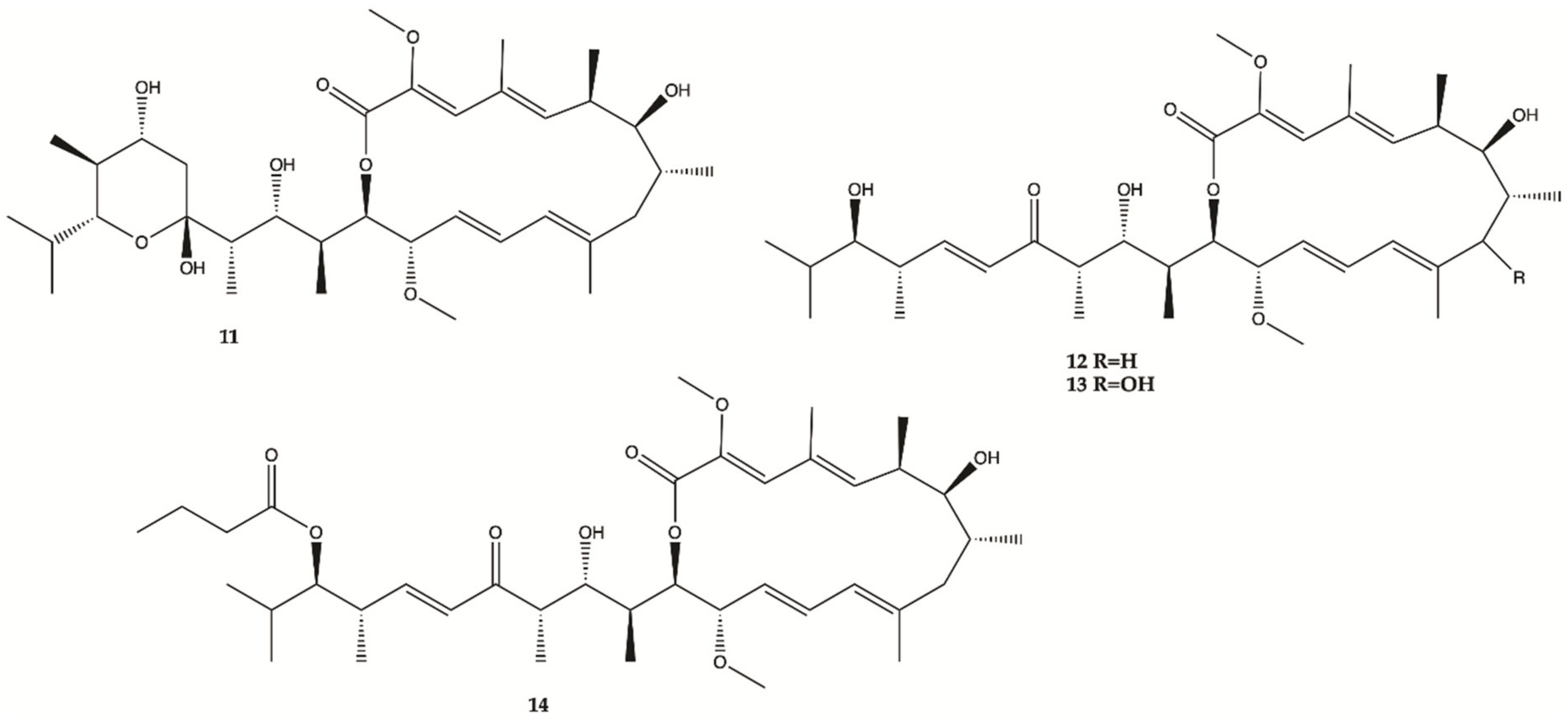 Molecules 26 02707 g006