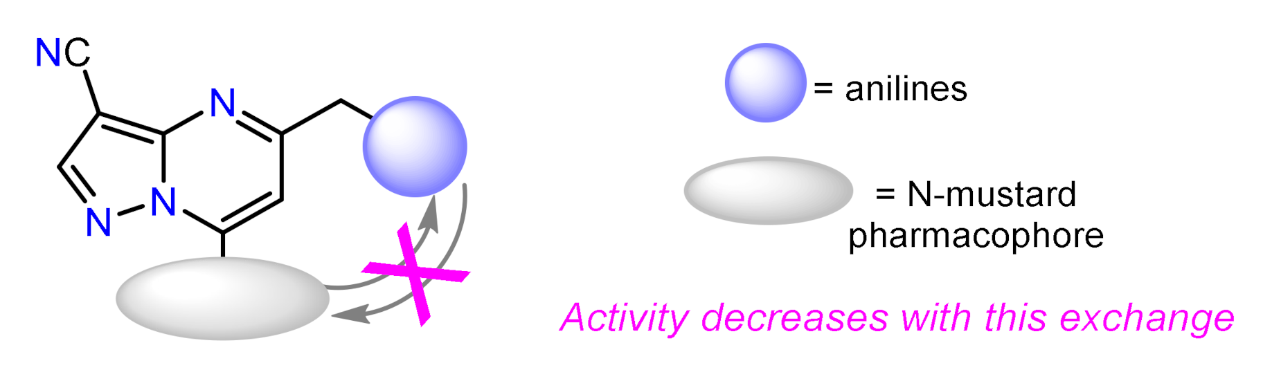 Molecules 26 02708 g003