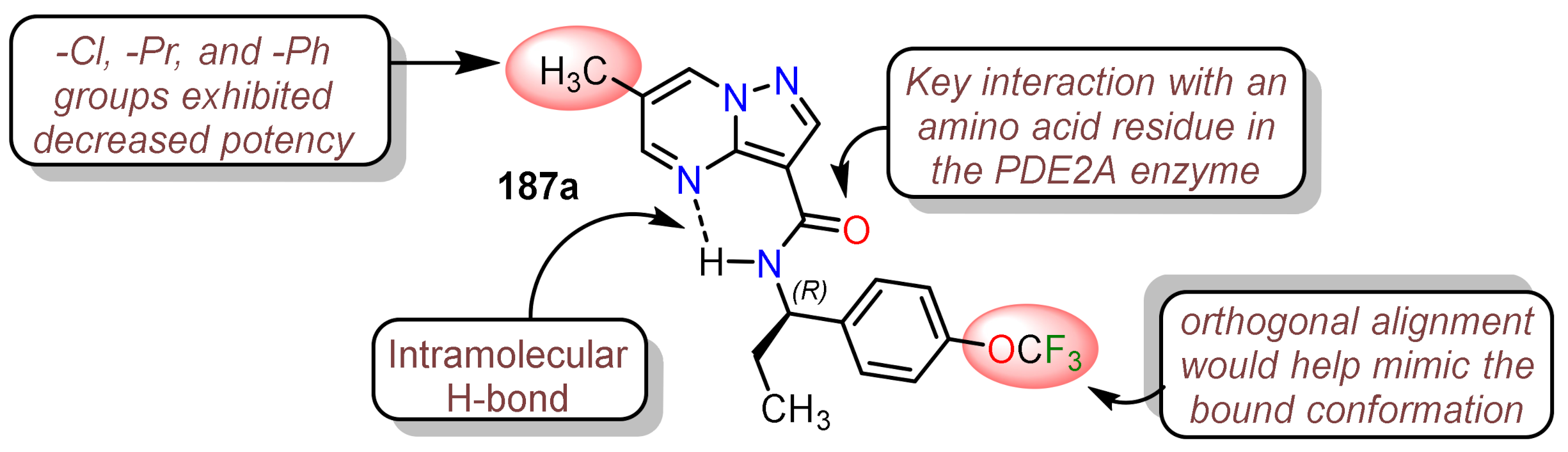 Molecules 26 02708 g004