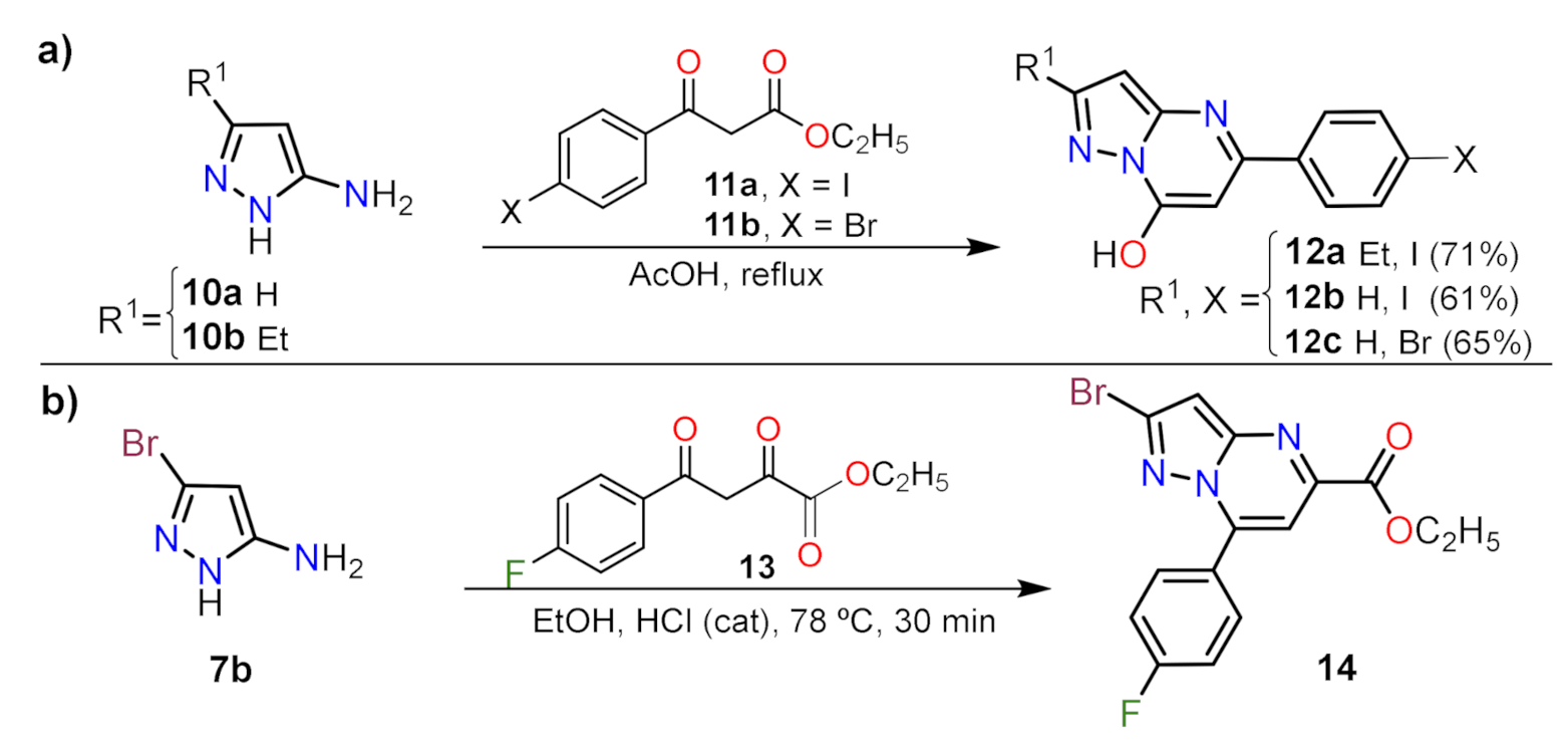 Molecules 26 02708 sch003