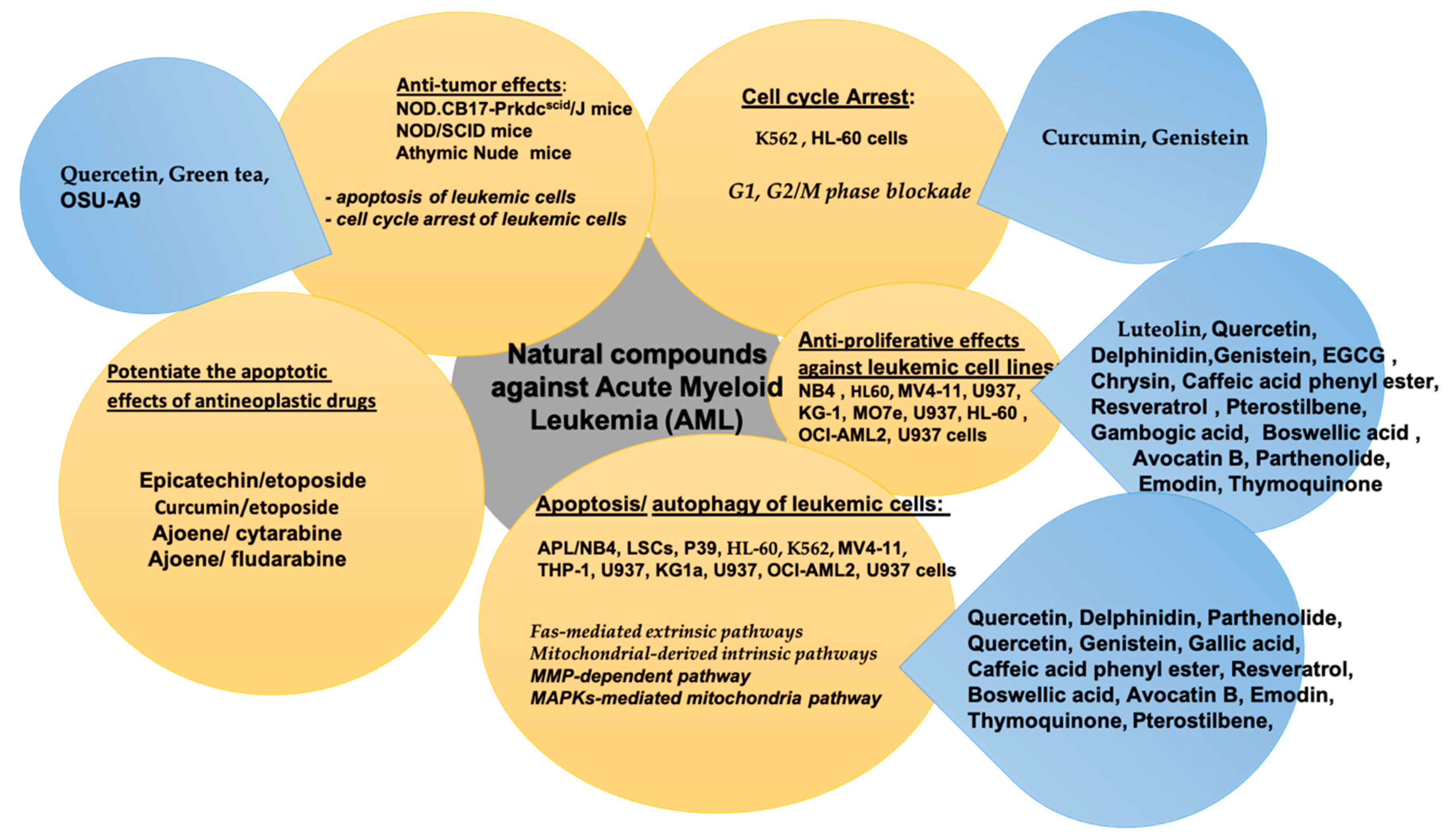 Molecules 26 02709 g001
