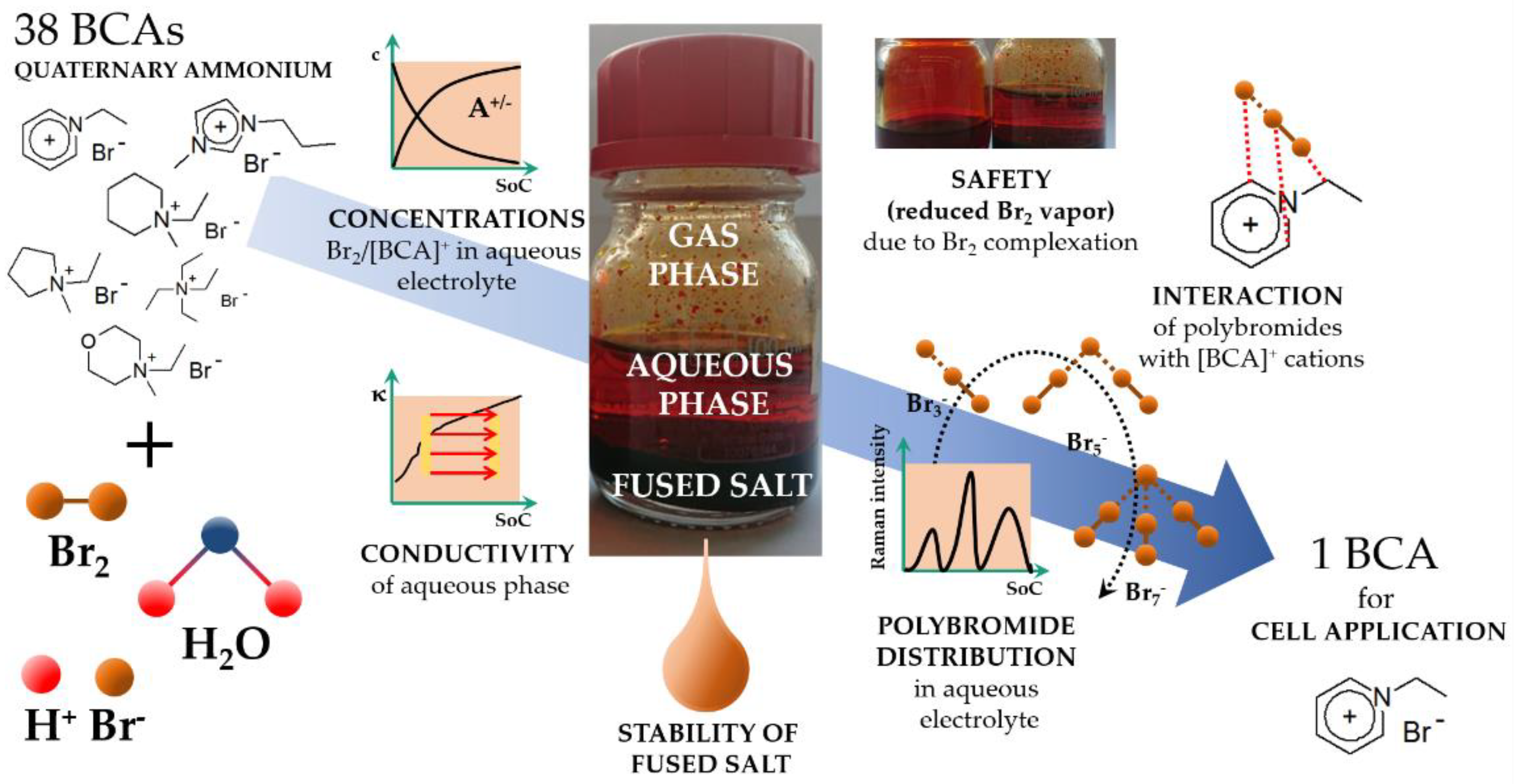 Molecules 26 02721 g001