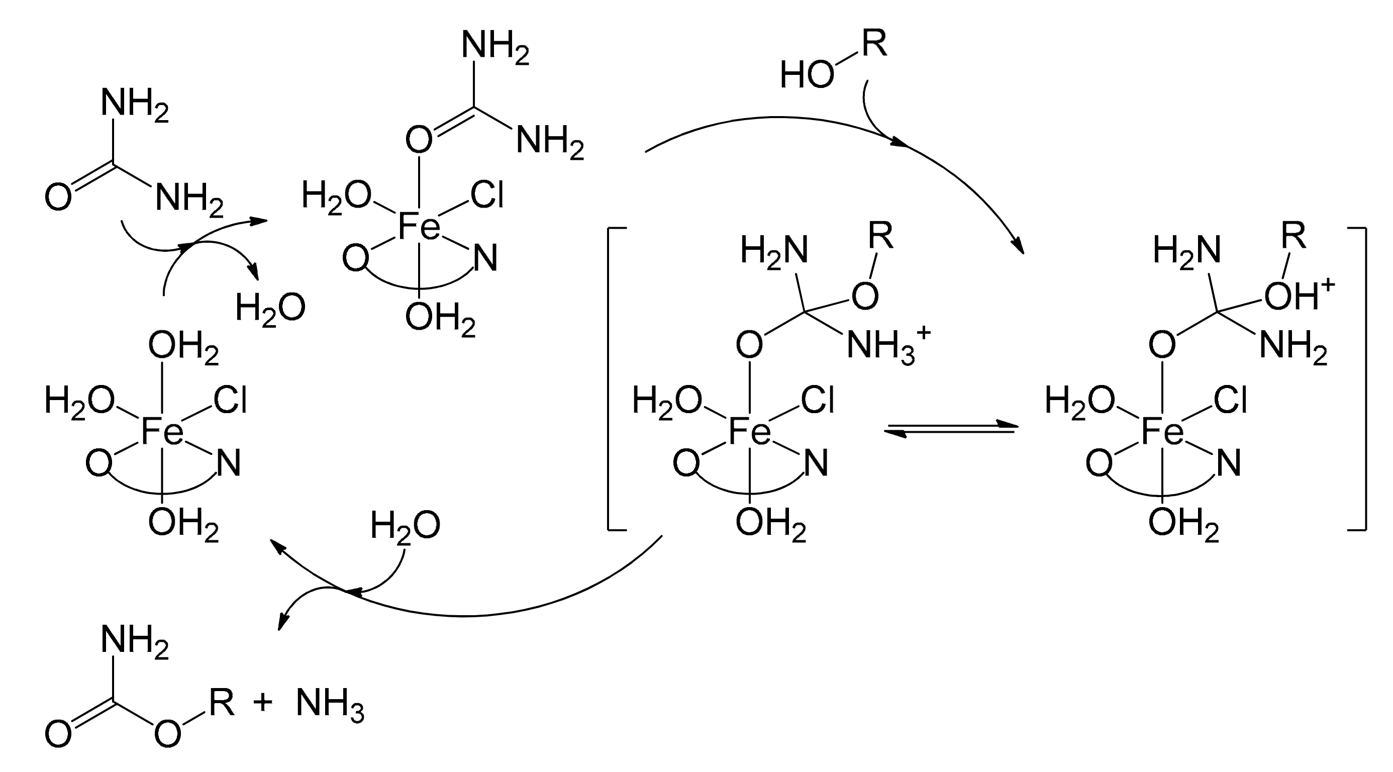 Molecules 26 02728 g014 Molecules 26 02728 g014
