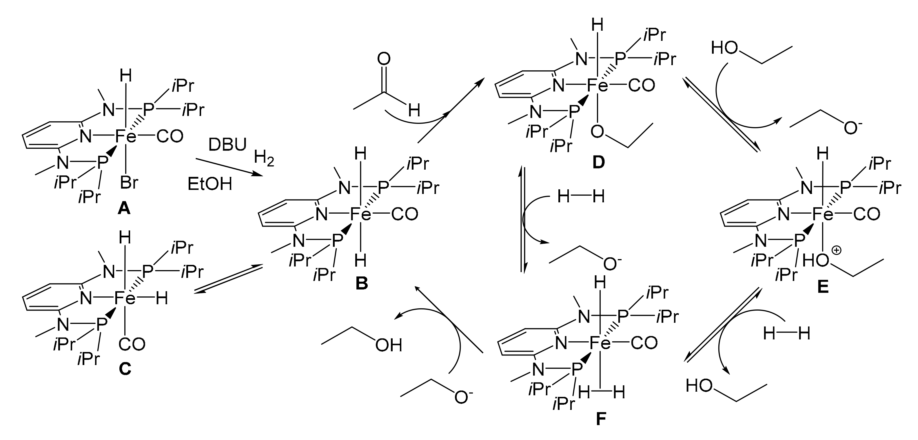 Molecules 26 02728 g016 Molecules 26 02728 g016