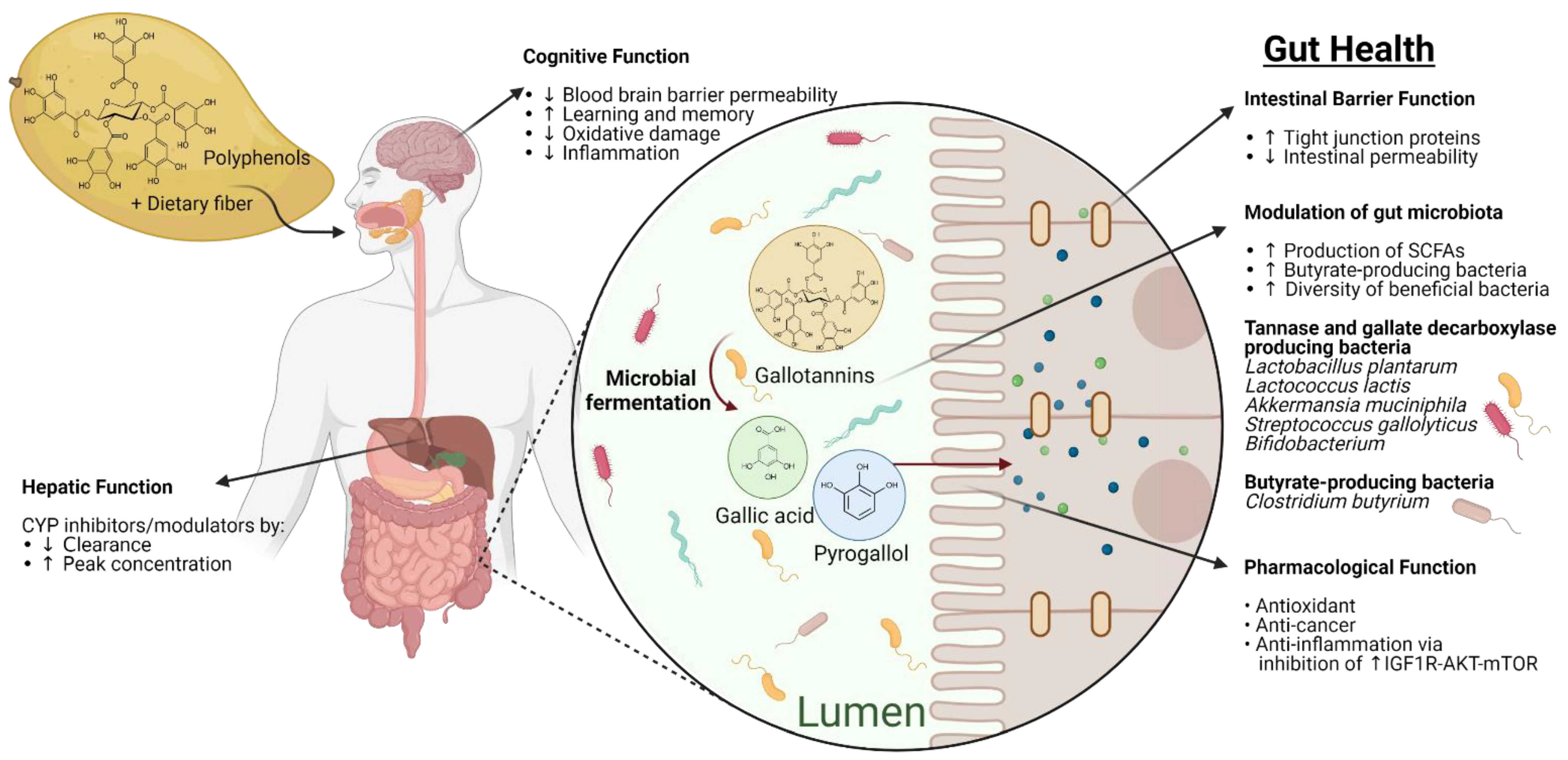 Molecules 26 02732 g001