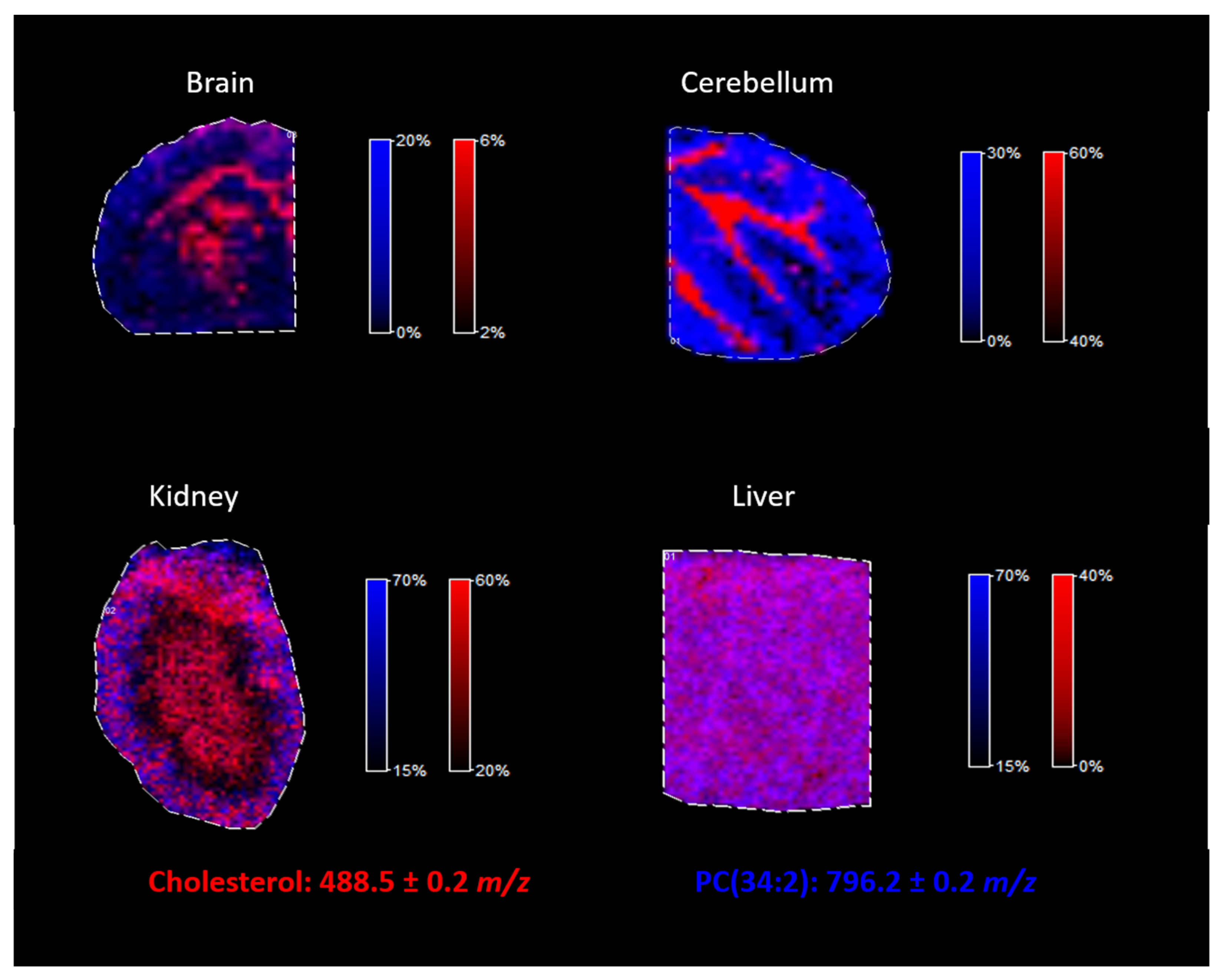 Molecules 26 02737 g008 Molecules 26 02737 g008