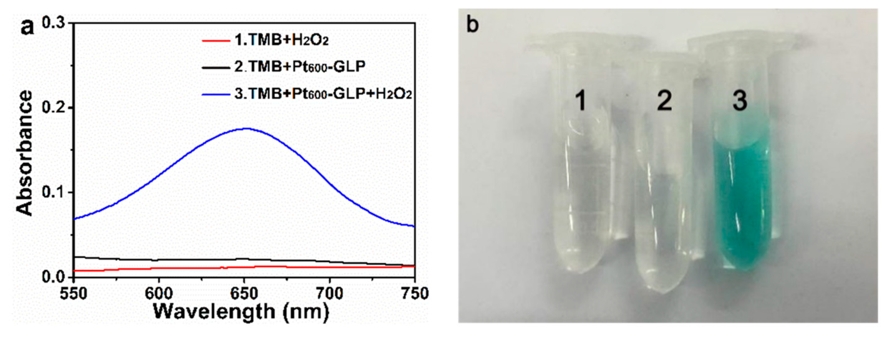 Molecules 26 02738 g006 Molecules 26 02738 g006
