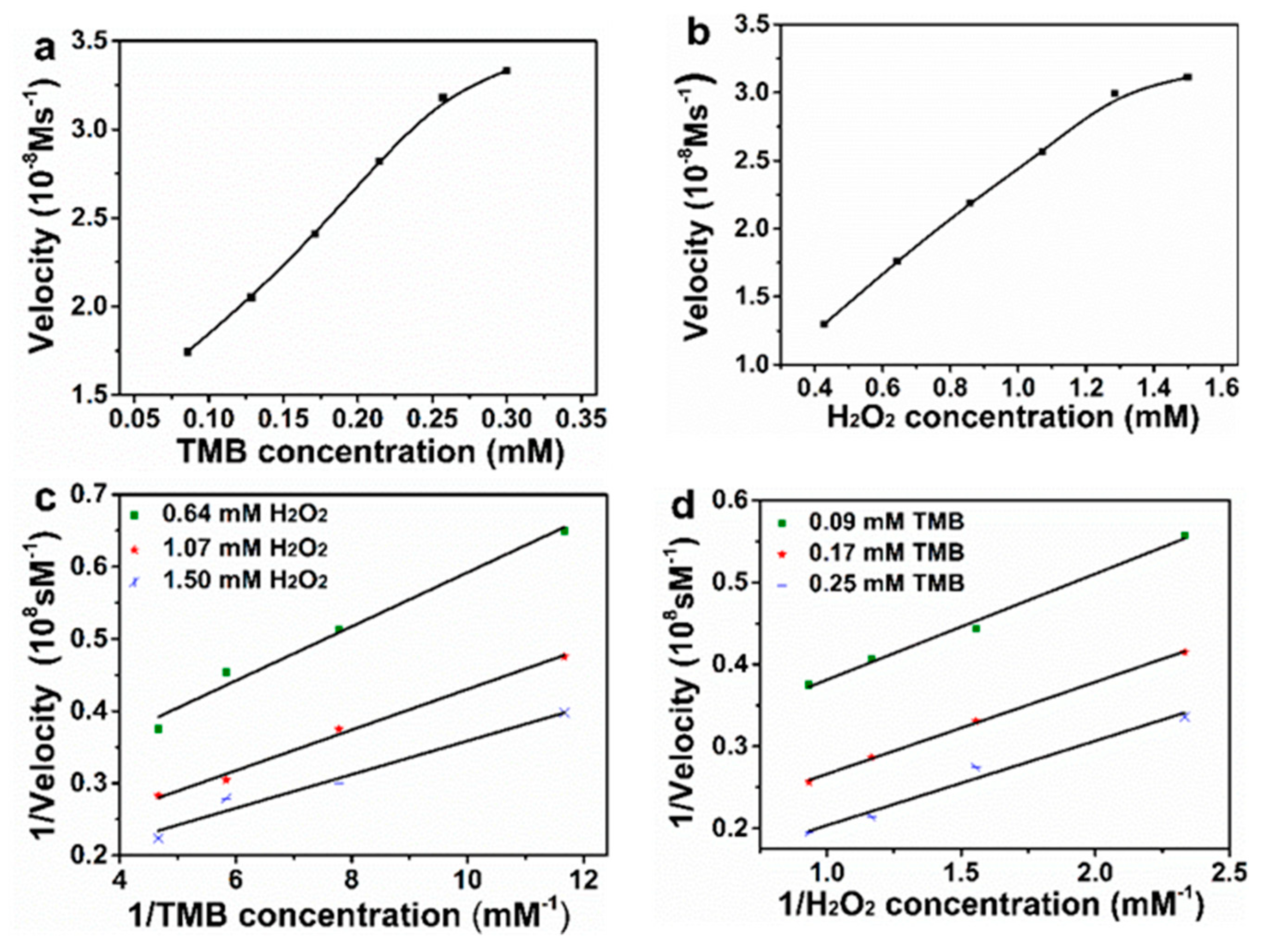 Molecules 26 02738 g008 Molecules 26 02738 g008