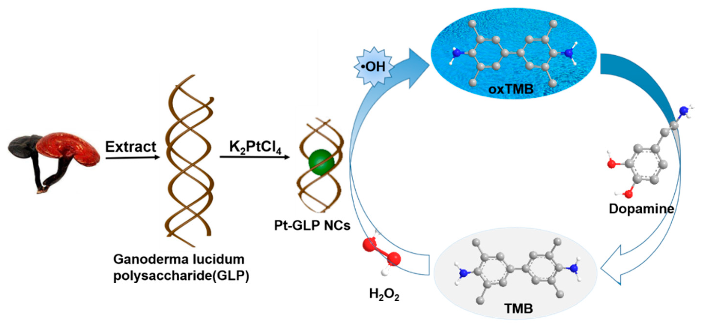 Molecules 26 02738 sch001 Molecules 26 02738 sch001