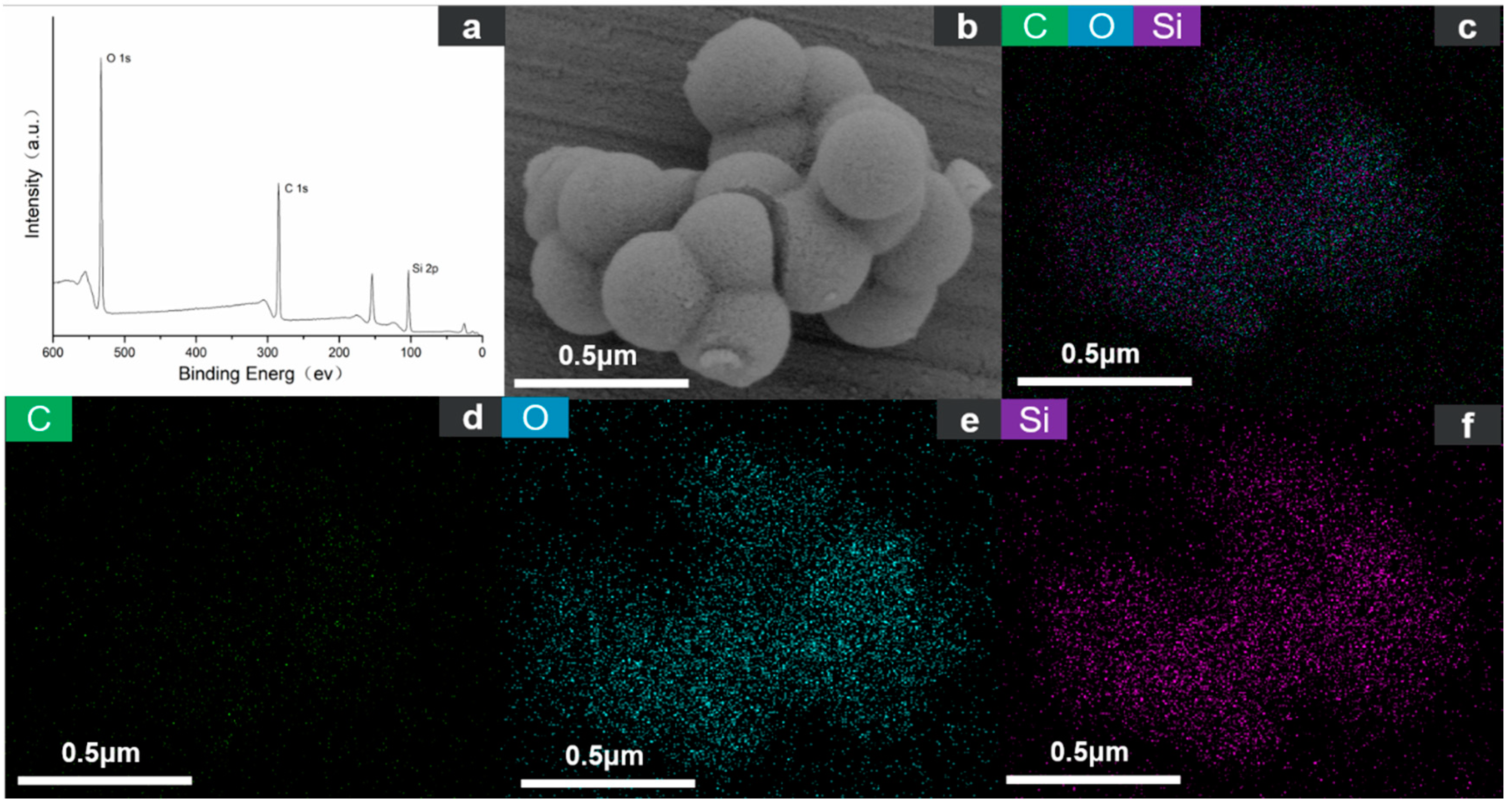 Molecules 26 02744 g005