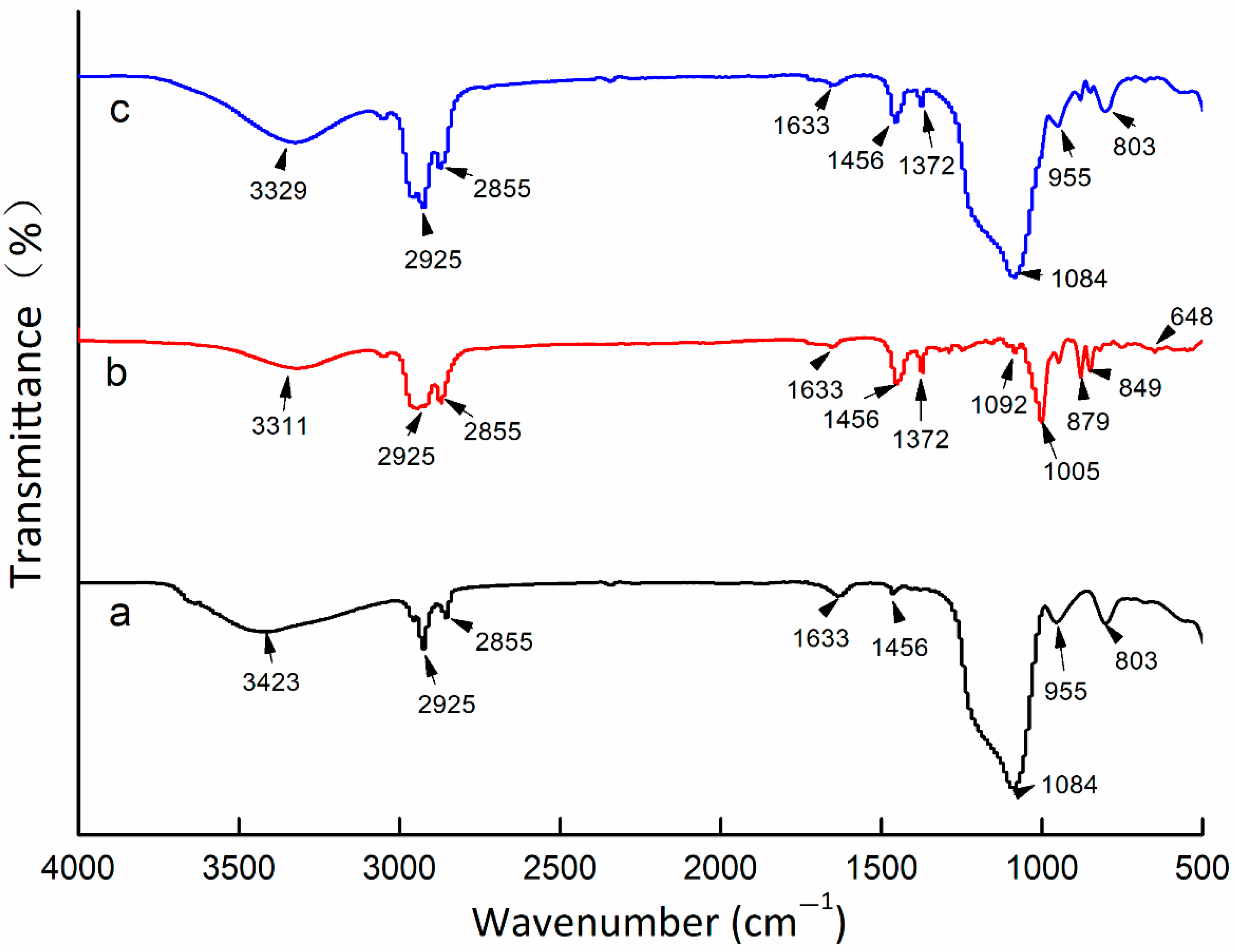 Molecules 26 02744 g006