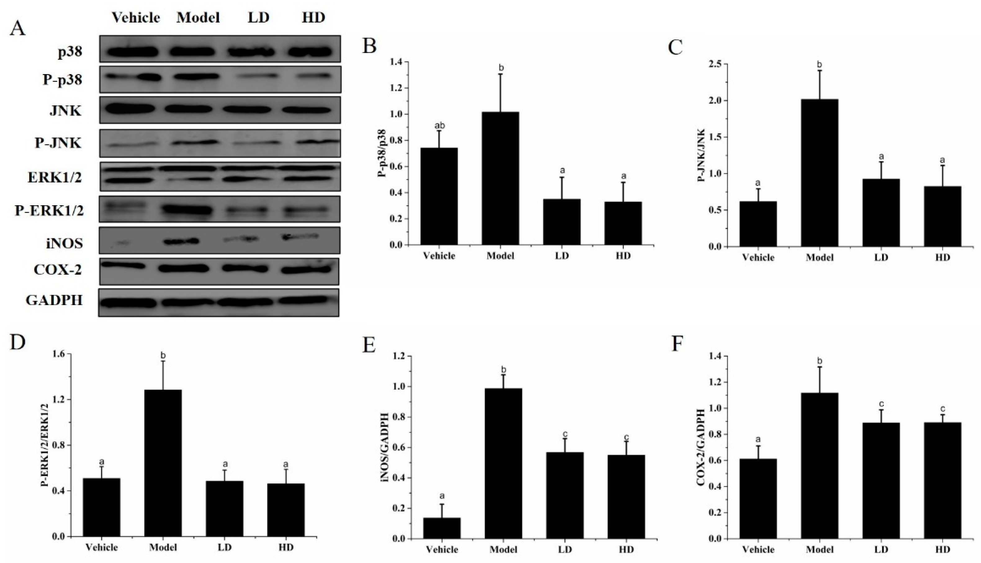 Molecules 26 02745 g006