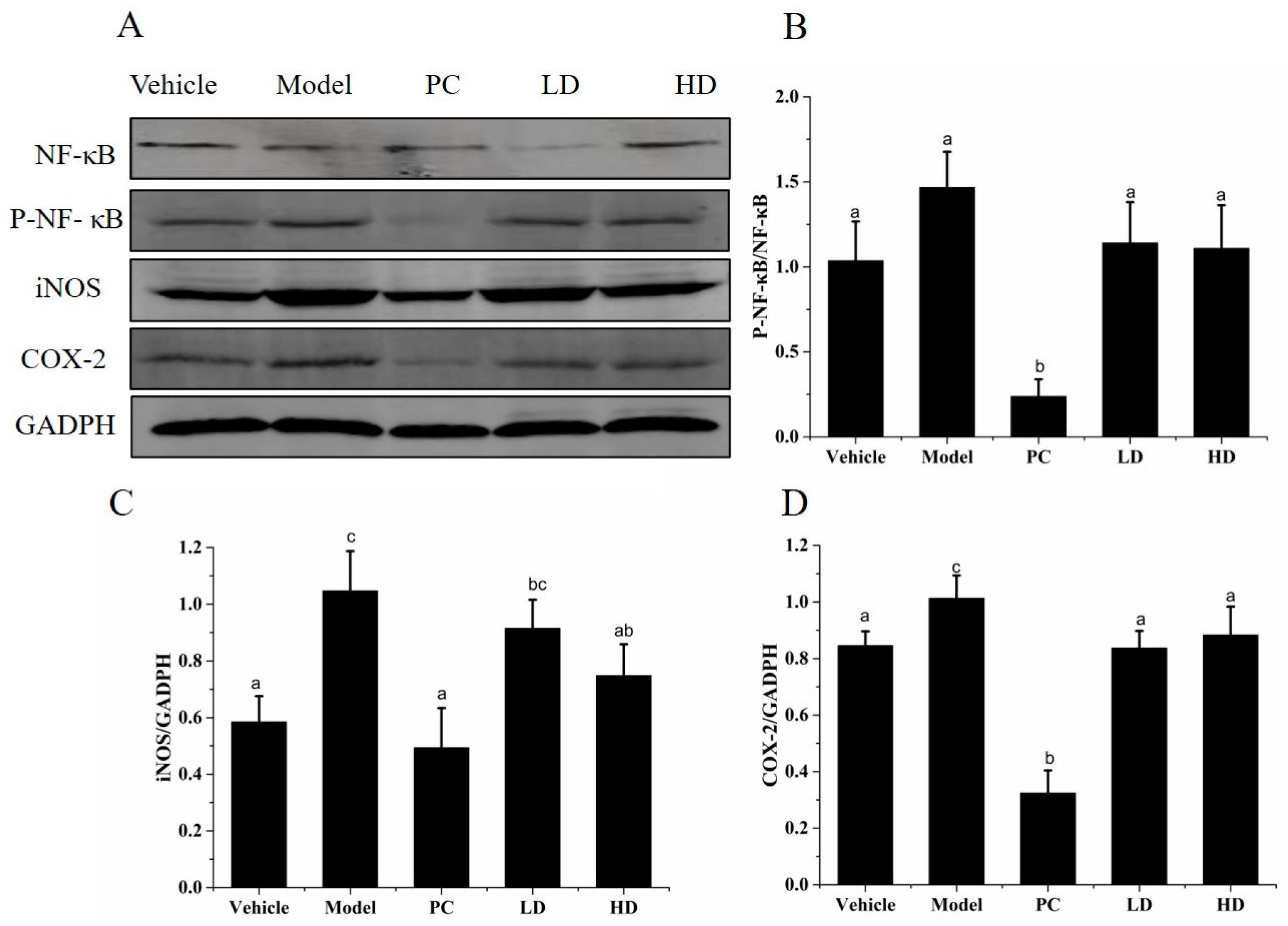 Molecules 26 02745 g008