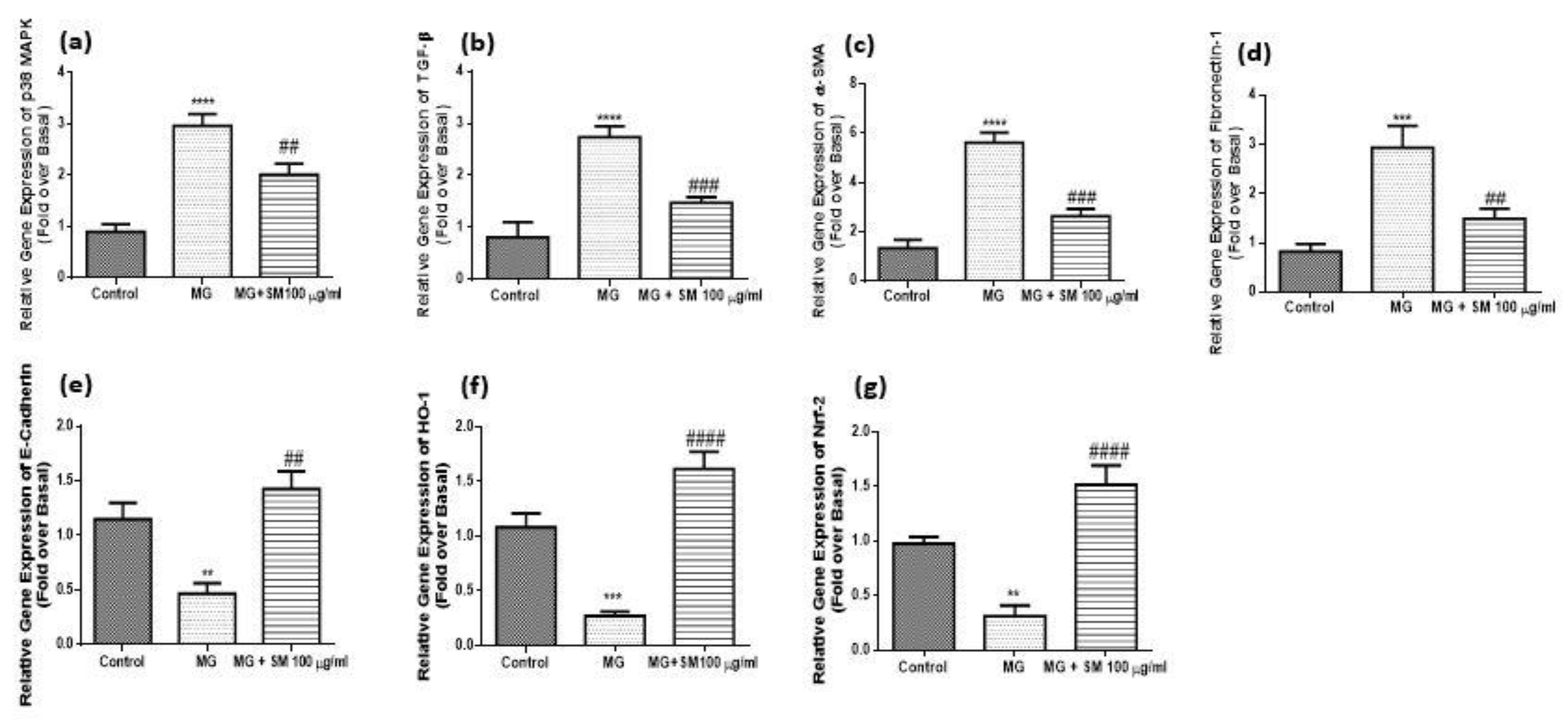 Molecules 26 02748 g012