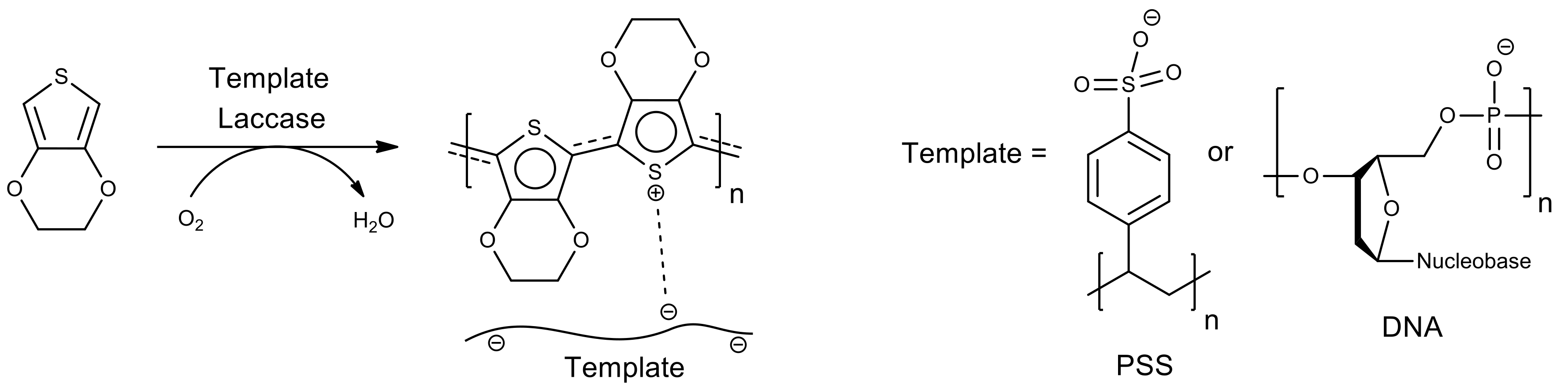 Molecules 26 02750 g003