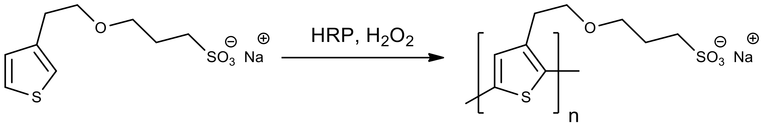 Molecules 26 02750 g004