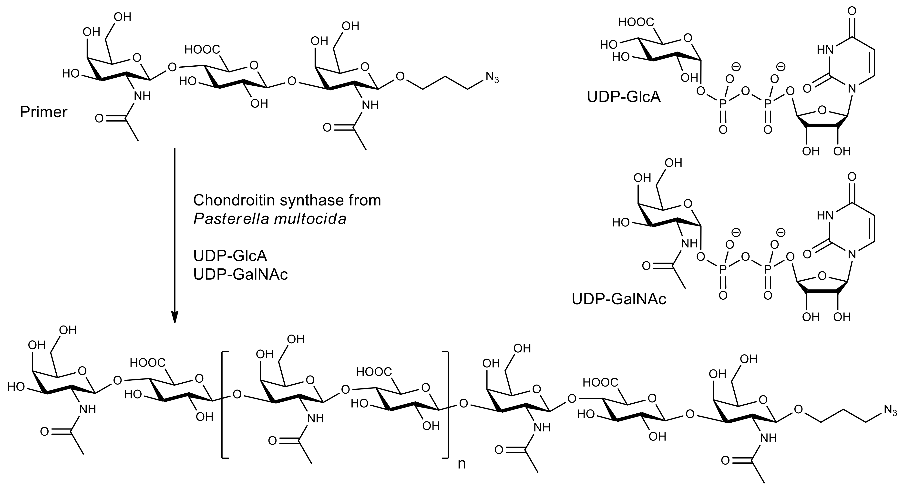 Molecules 26 02750 g005