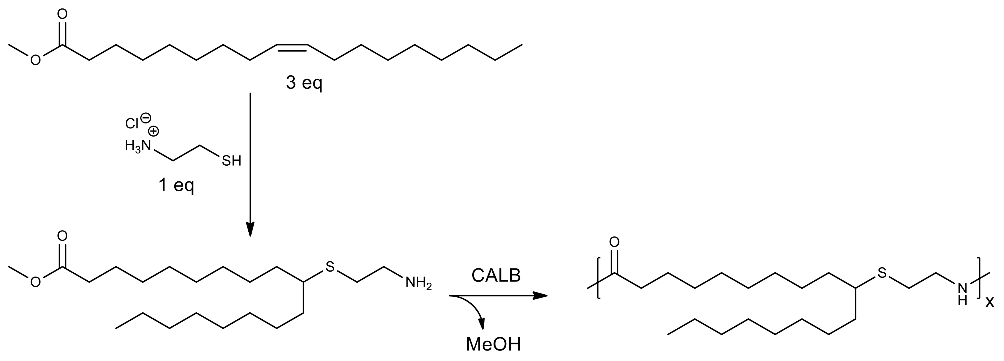 Molecules 26 02750 g009