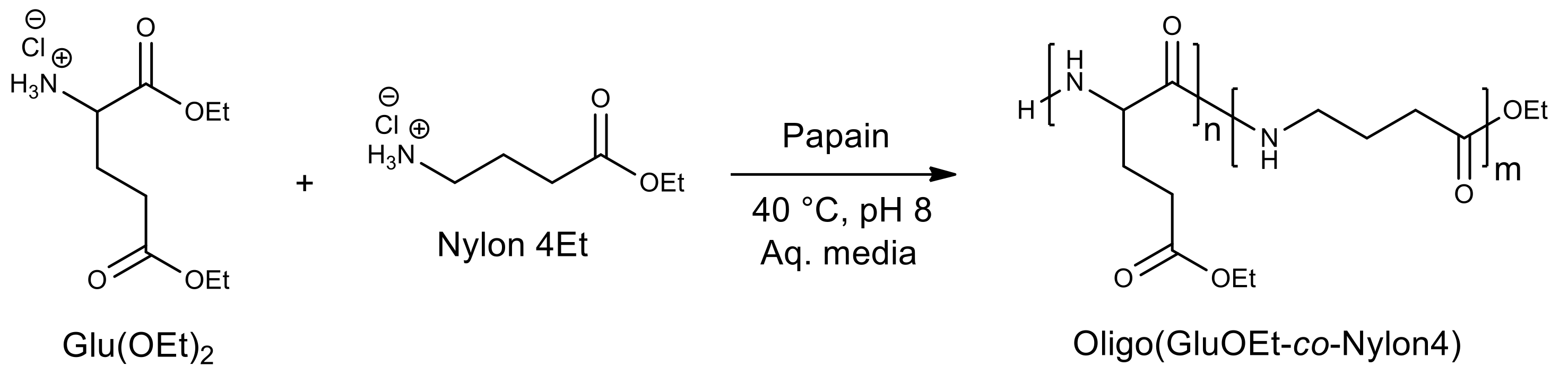 Molecules 26 02750 g012