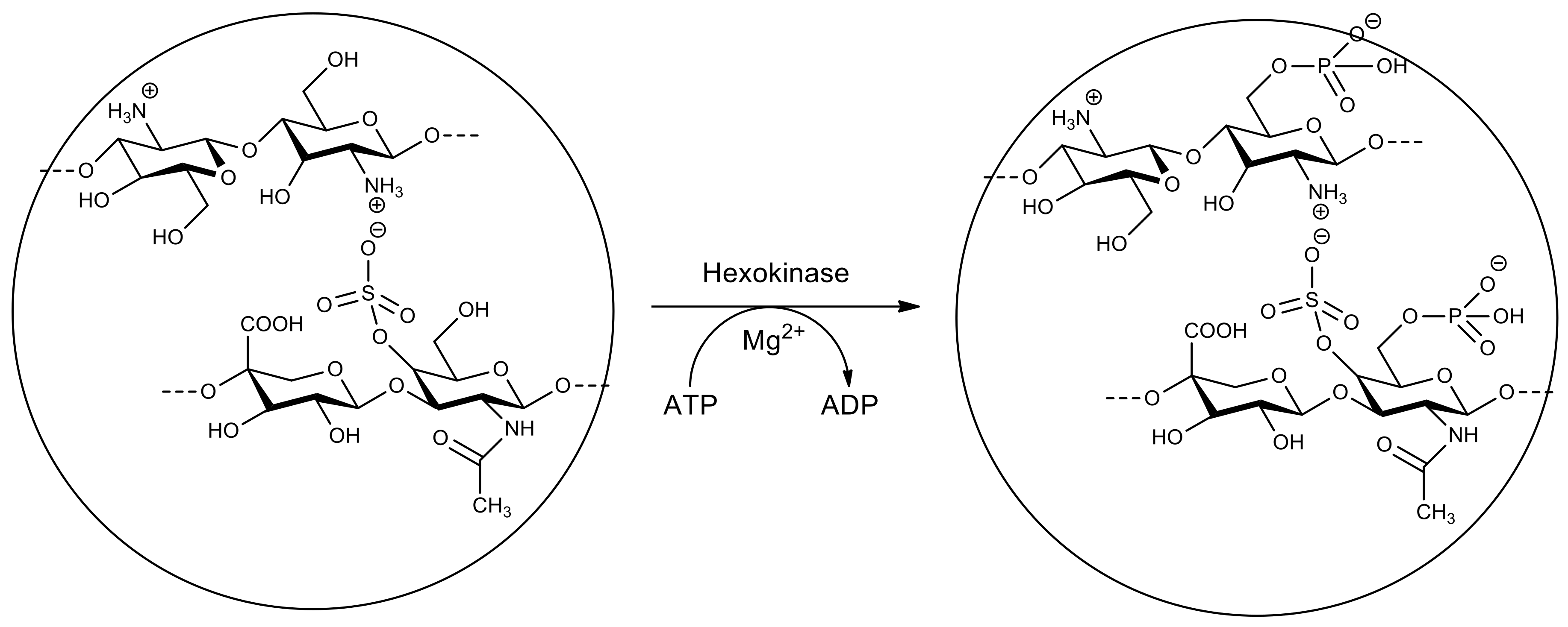 Molecules 26 02750 g013