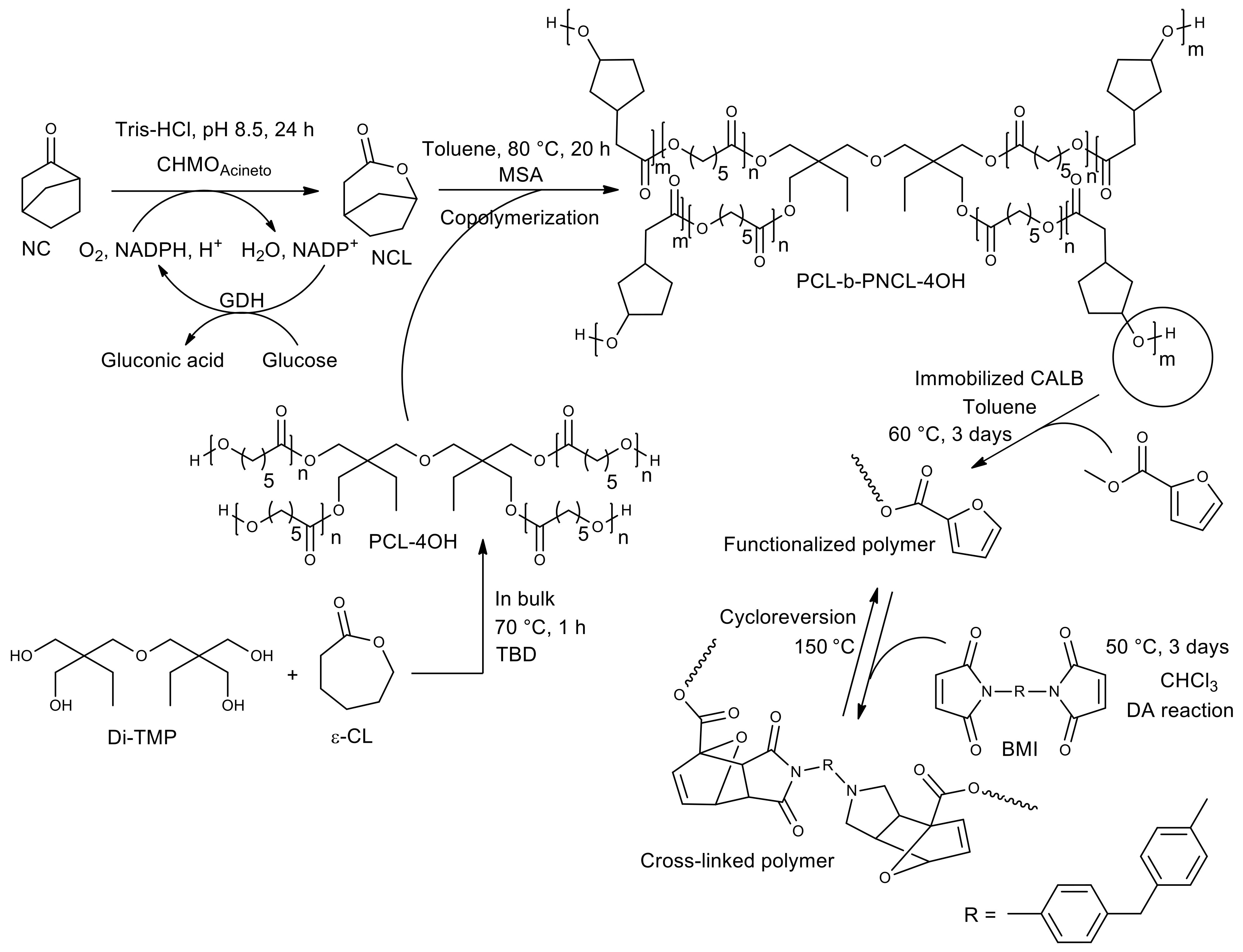Molecules 26 02750 g017