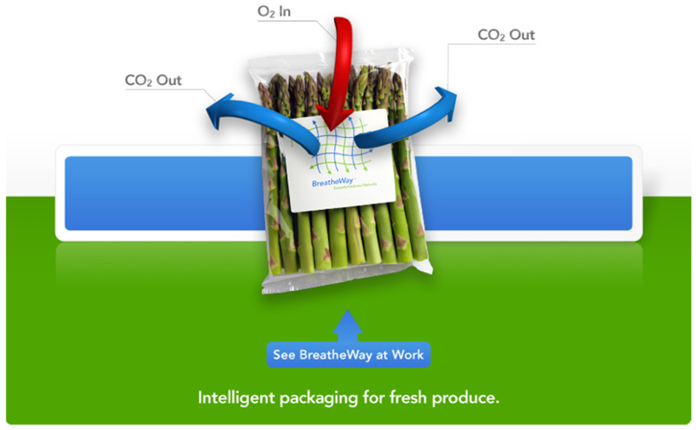 Molecules 26 02755 g005