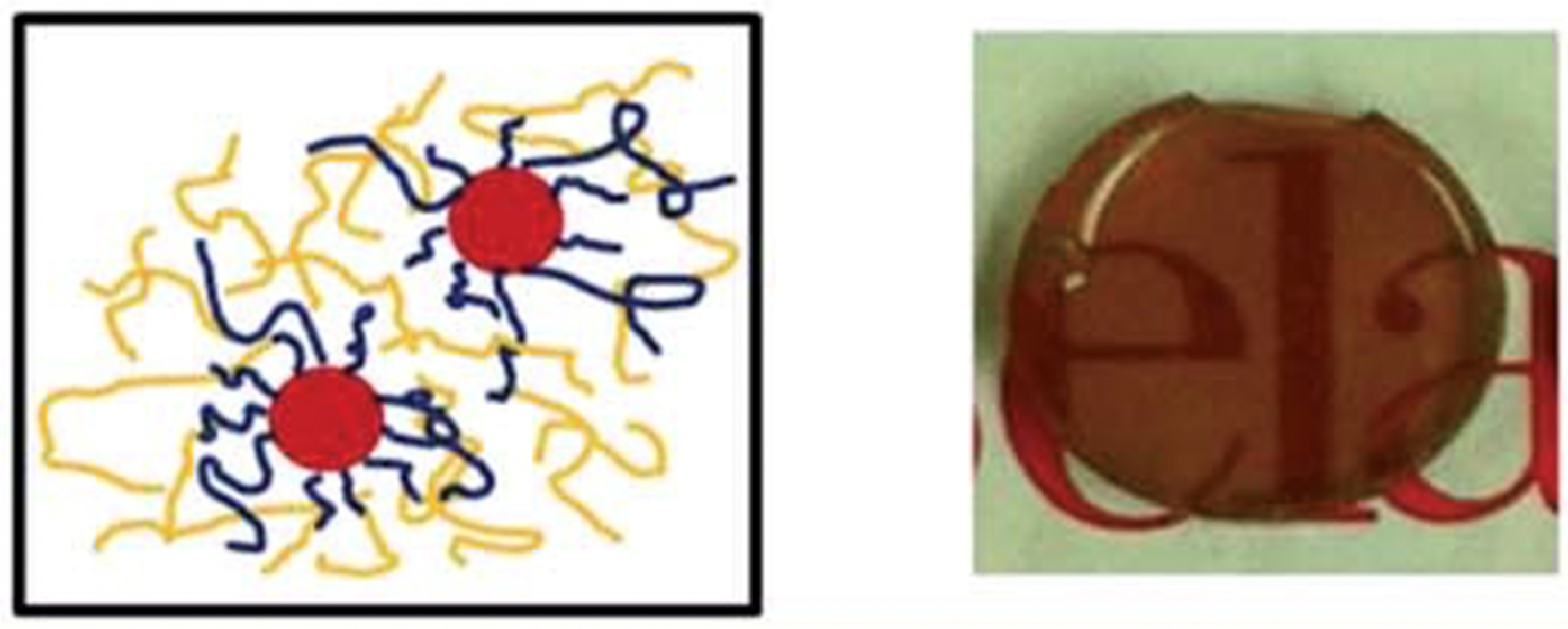 Molecules 26 02755 g006