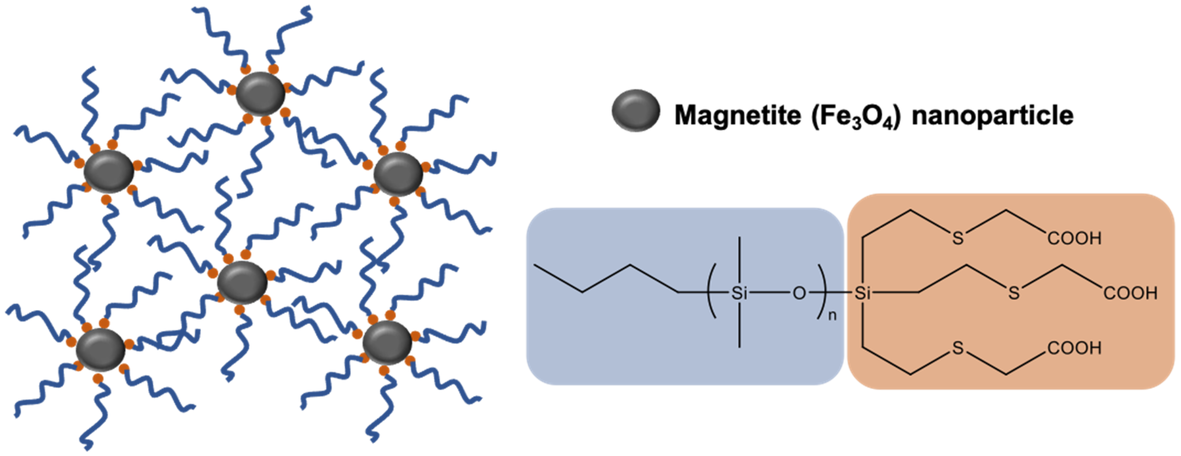 Molecules 26 02755 g008
