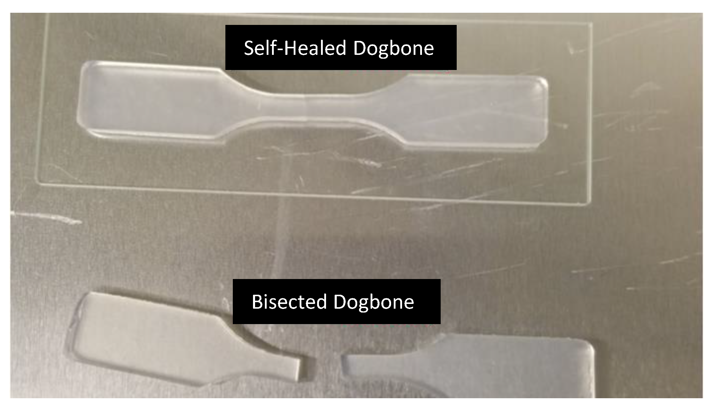 Molecules 26 02755 g012