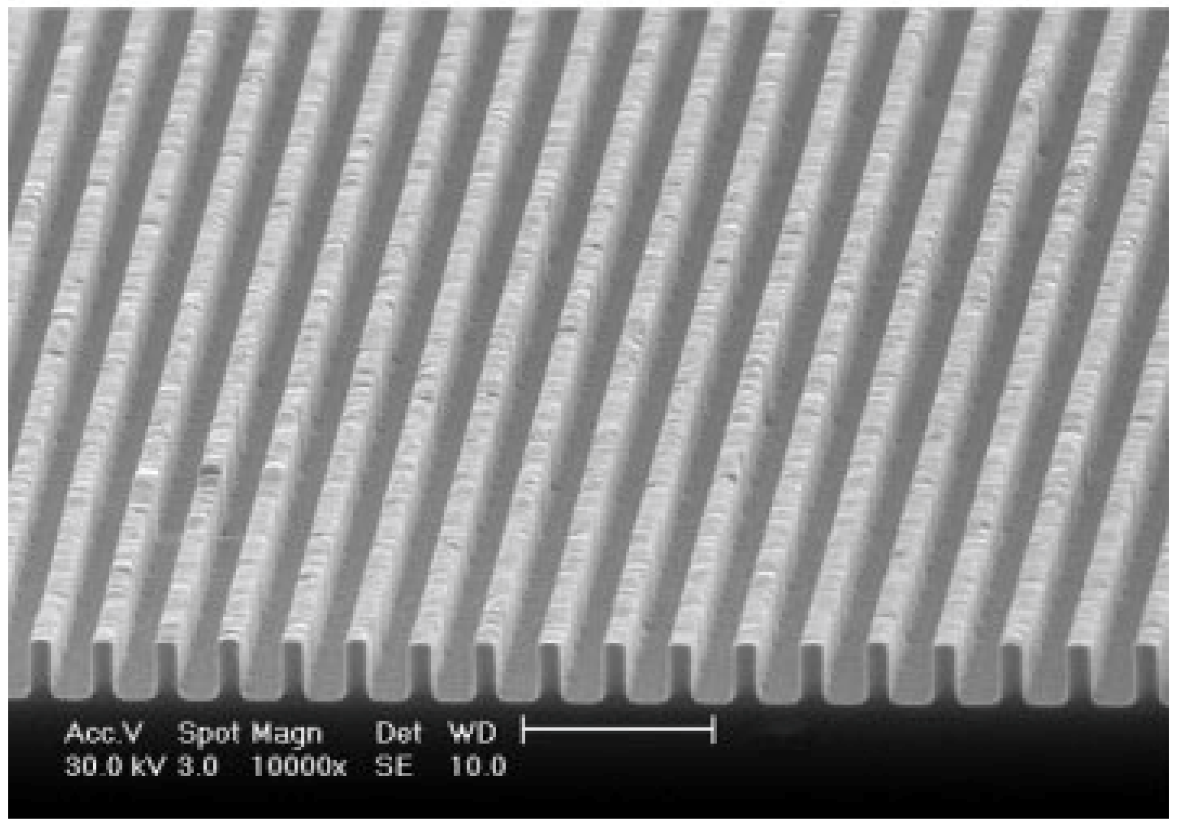 Molecules 26 02755 g013