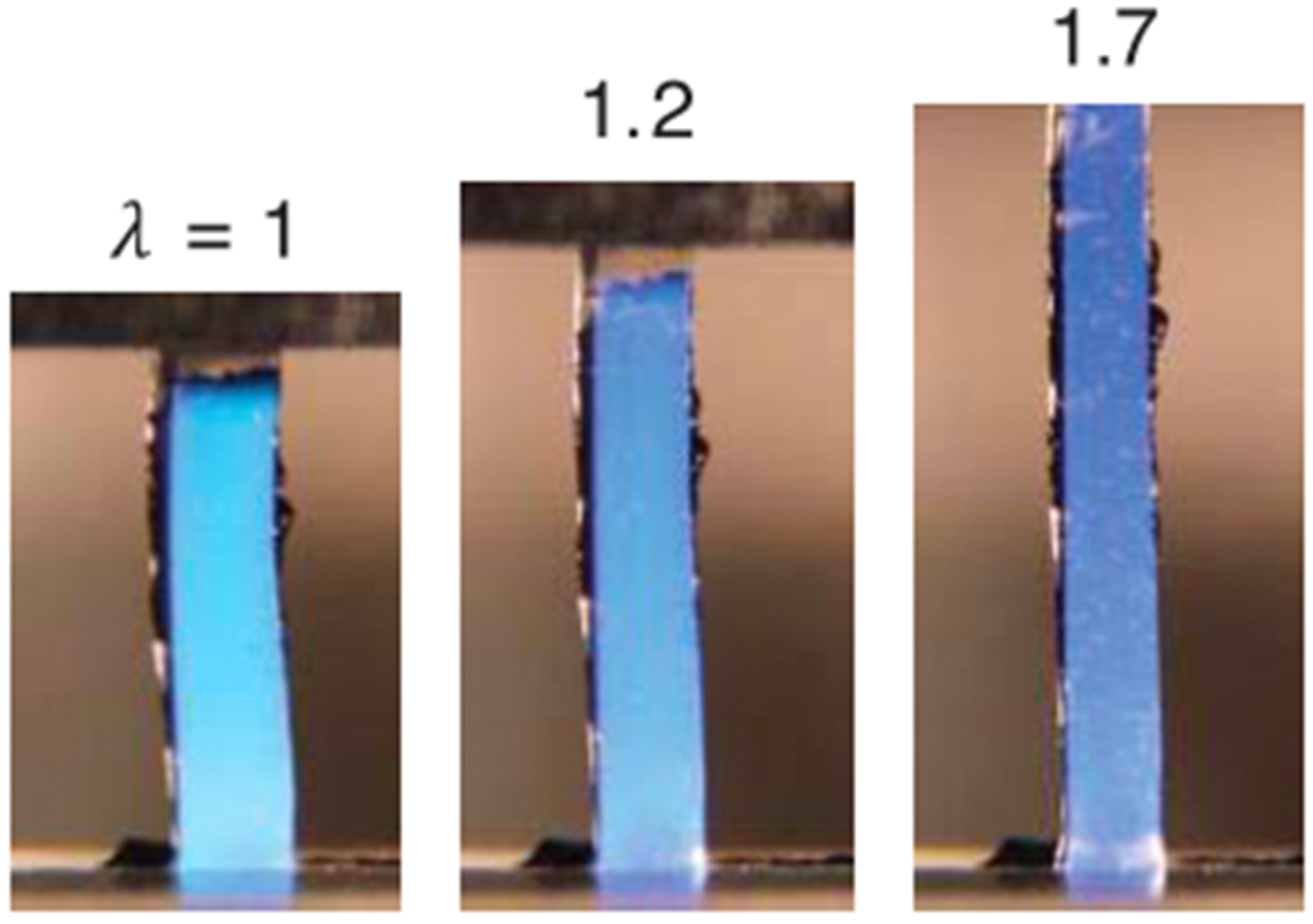 Molecules 26 02755 g015