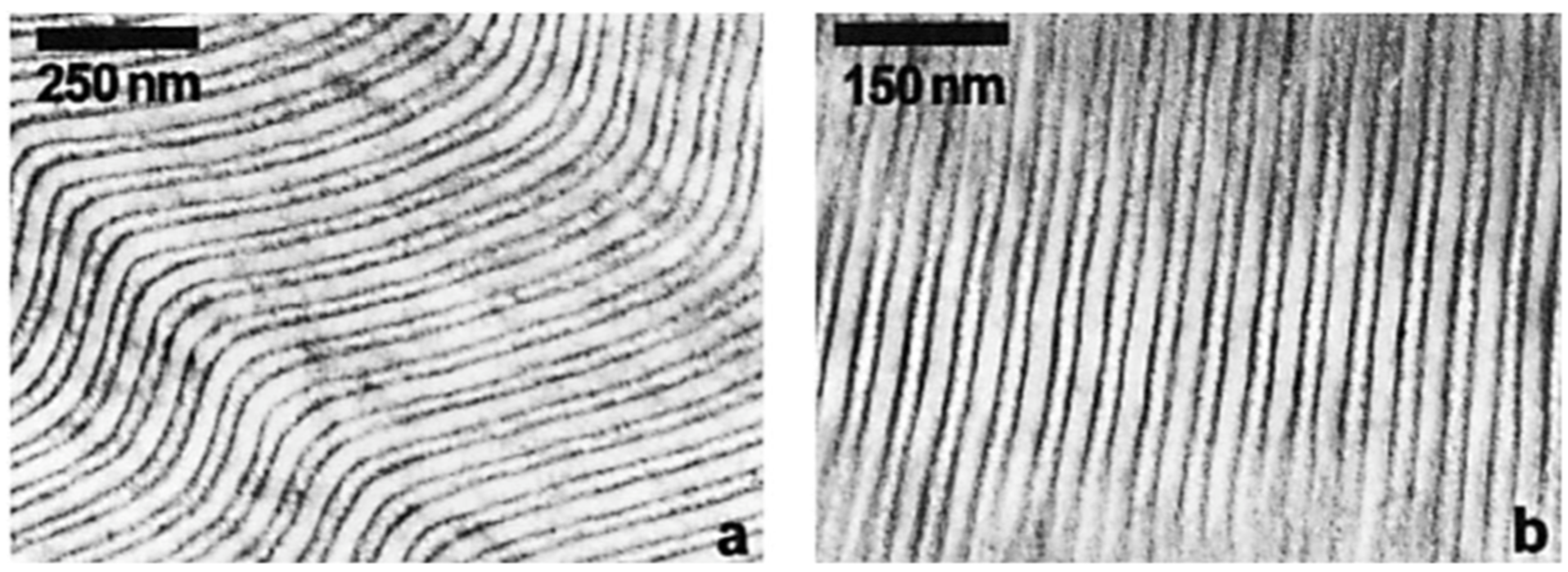 Molecules 26 02755 g017