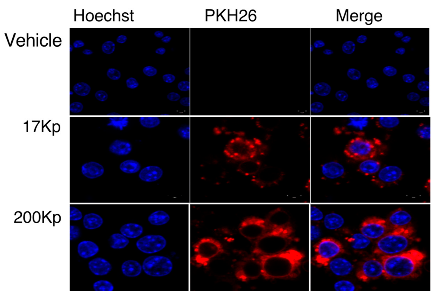 Molecules 26 02763 g003