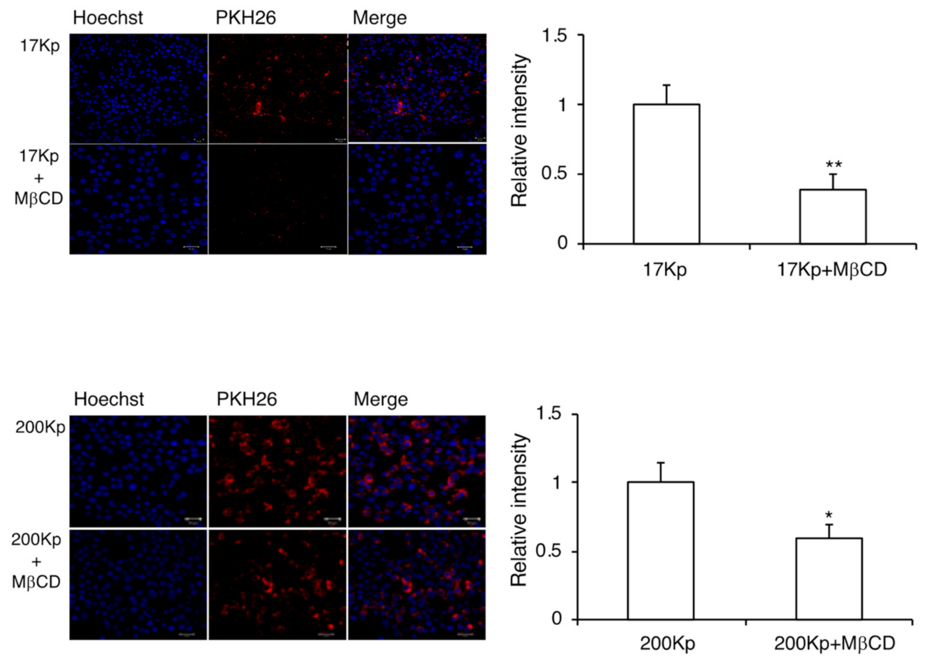Molecules 26 02763 g004