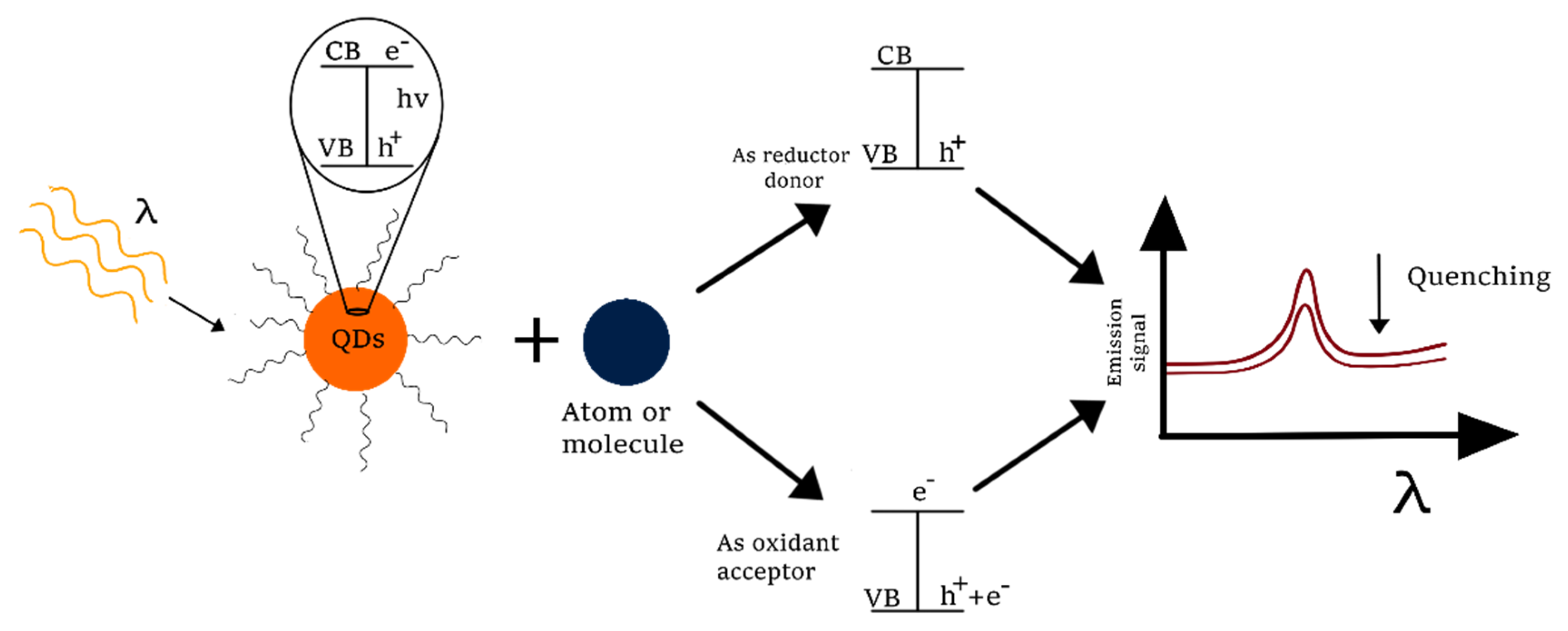 Molecules 26 02764 g005 Molecules 26 02764 g005