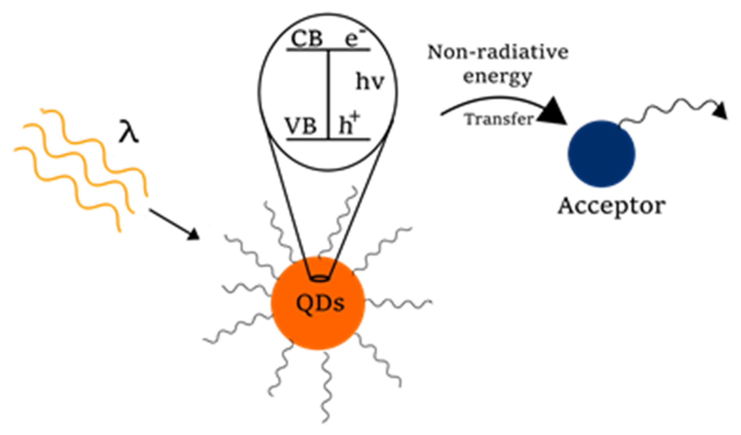 Molecules 26 02764 g006 Molecules 26 02764 g006