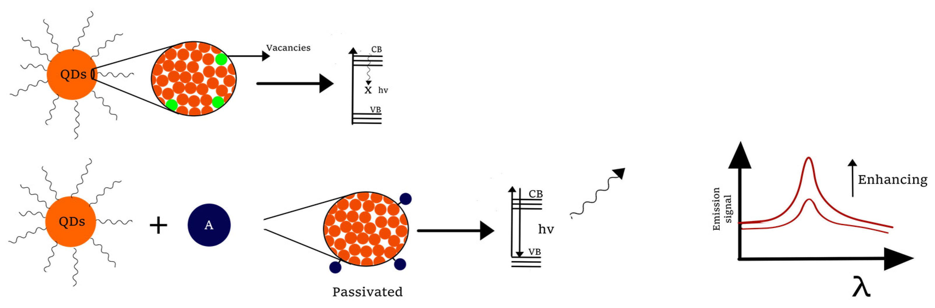 Molecules 26 02764 g007 Molecules 26 02764 g007