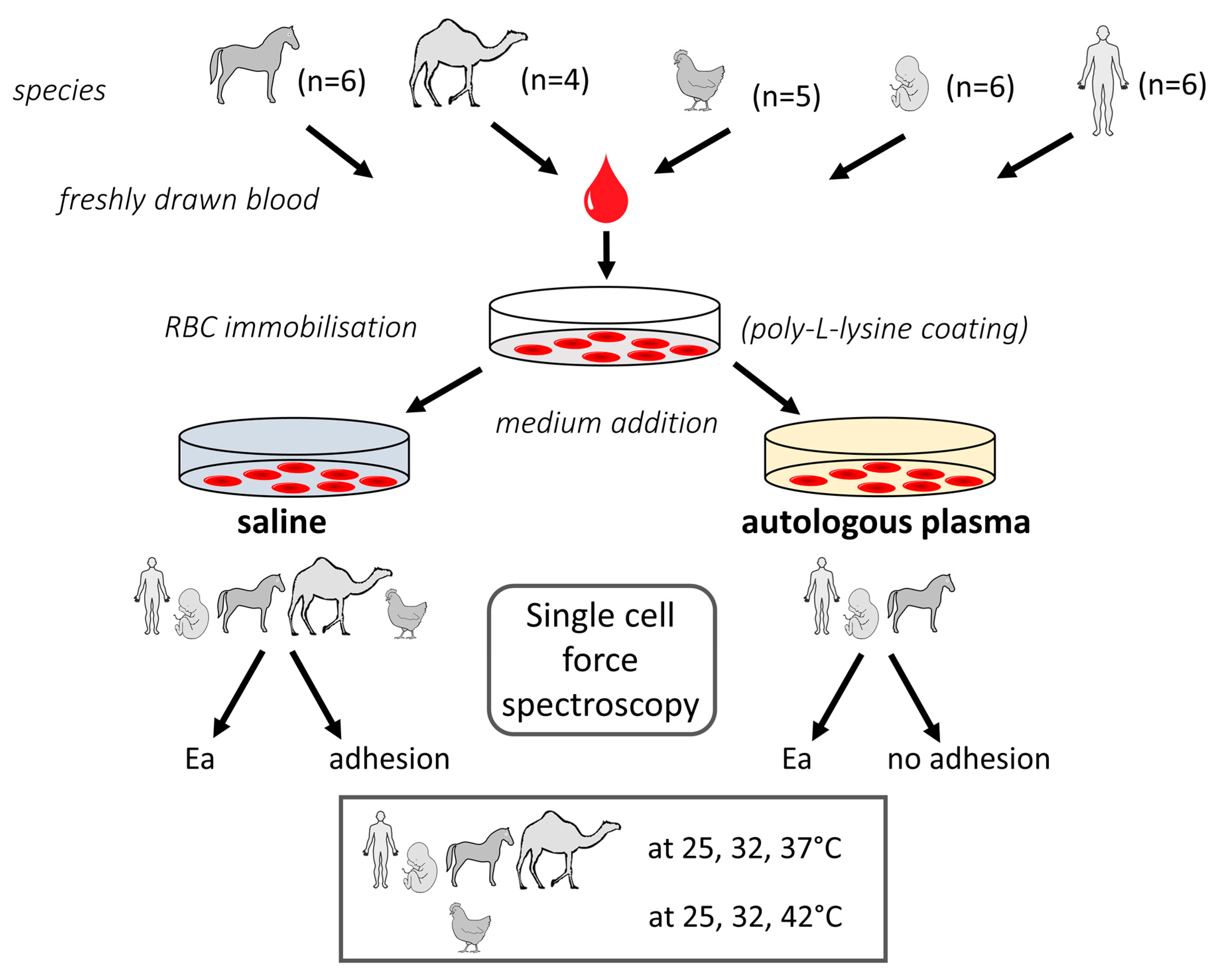 Molecules 26 02771 sch001