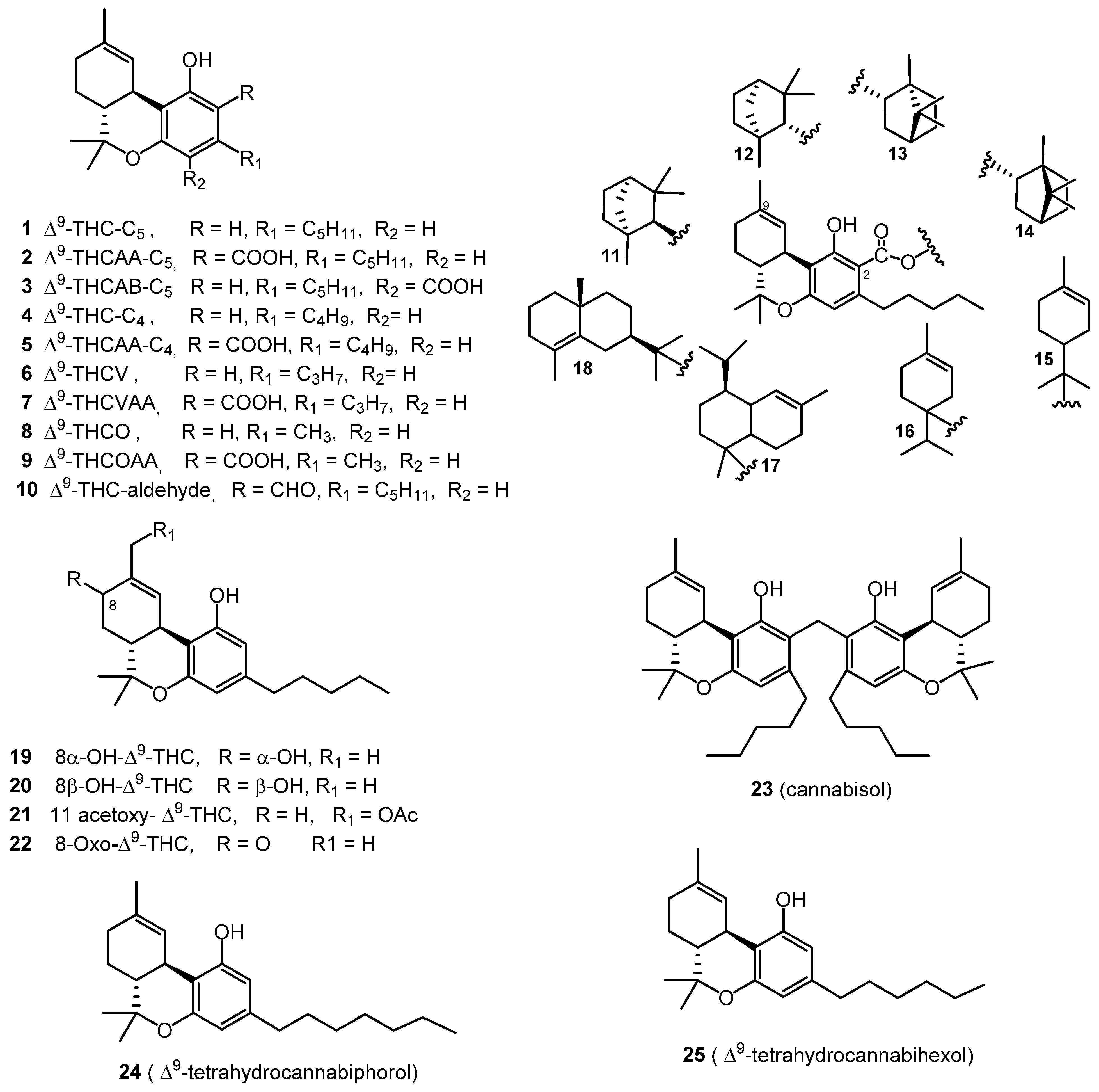 Molecules 26 02774 g001