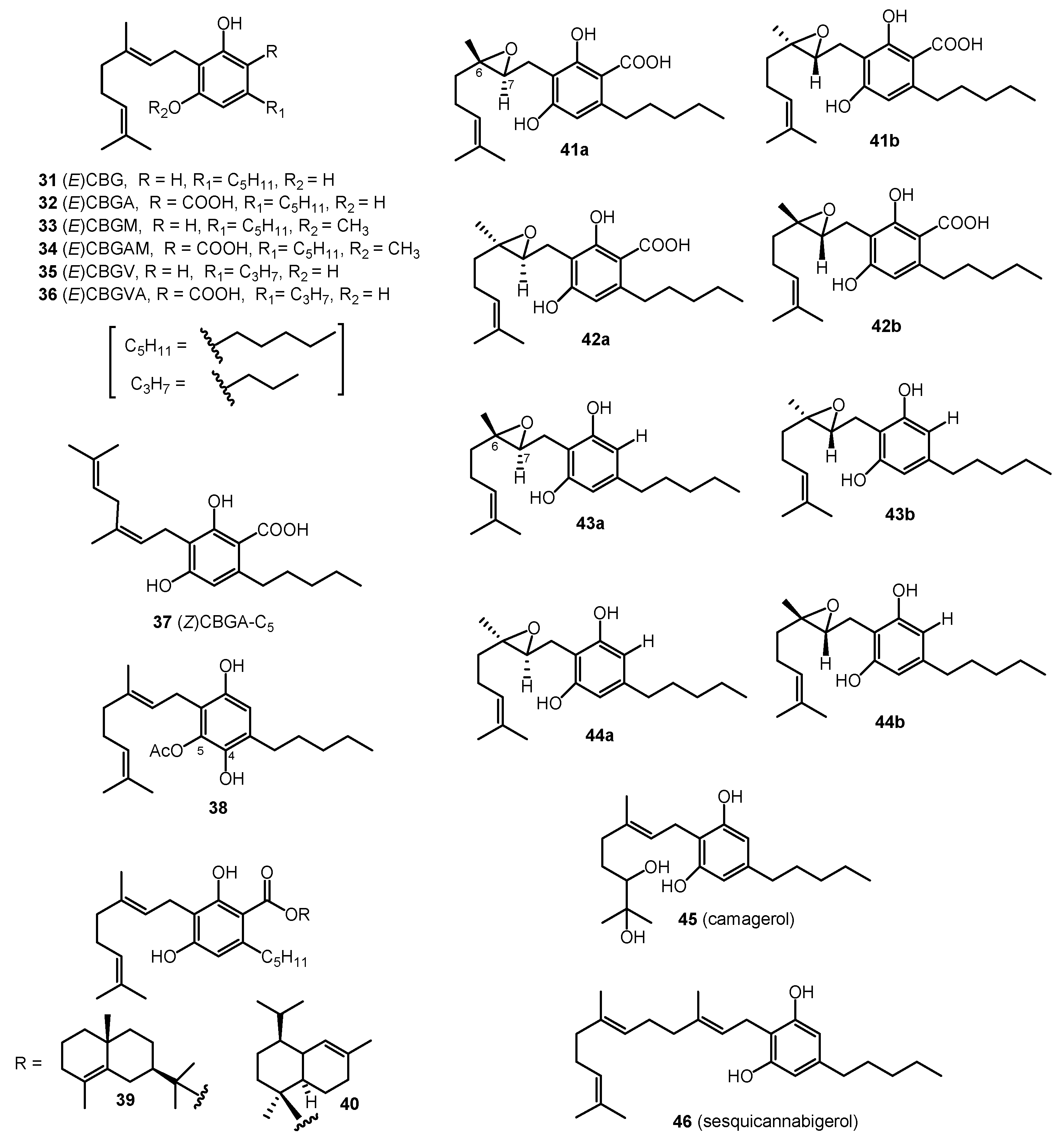 Molecules 26 02774 g003