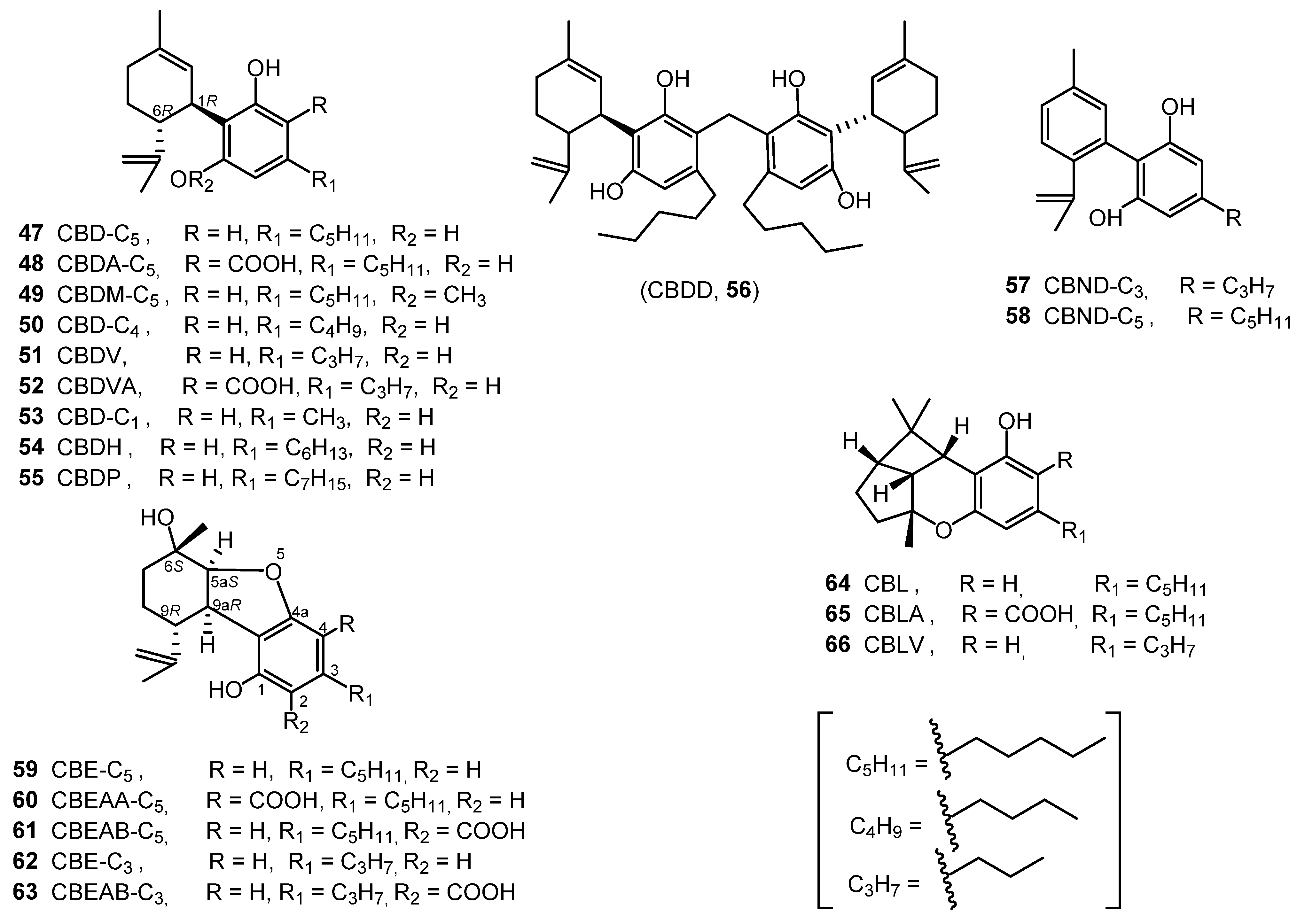 Molecules 26 02774 g004